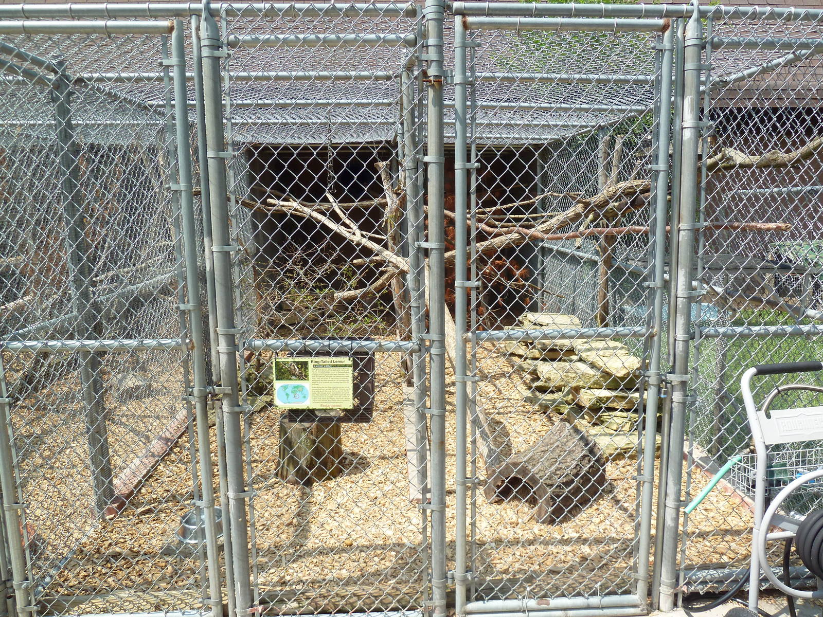 Ring-Tailed Lemur Cage