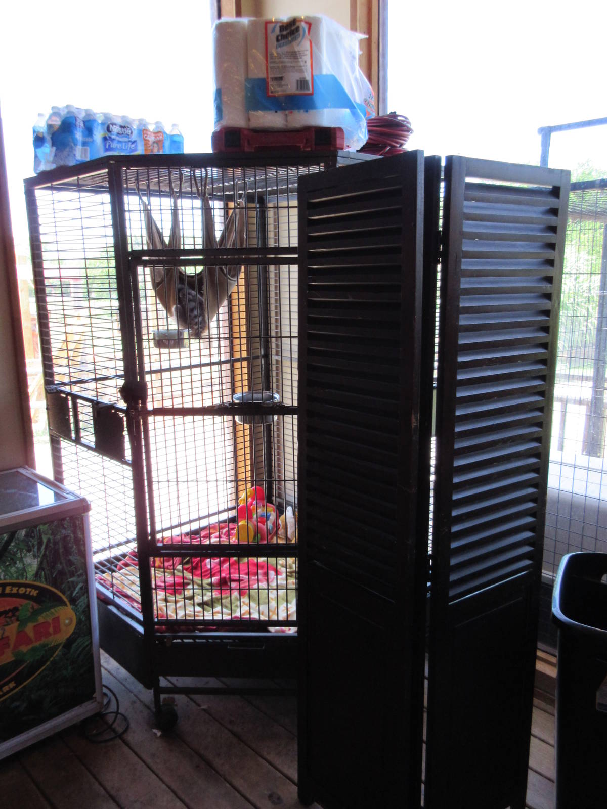Ring-Tailed Lemur Cage