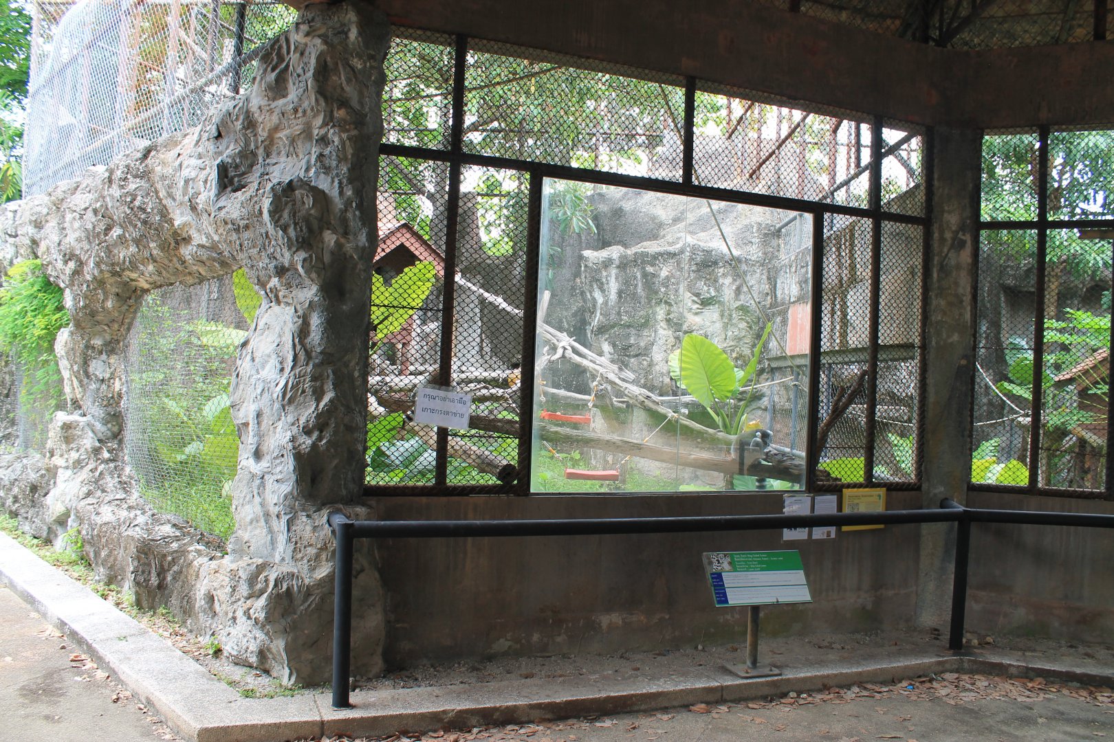 Ring-tailed Lemur cage