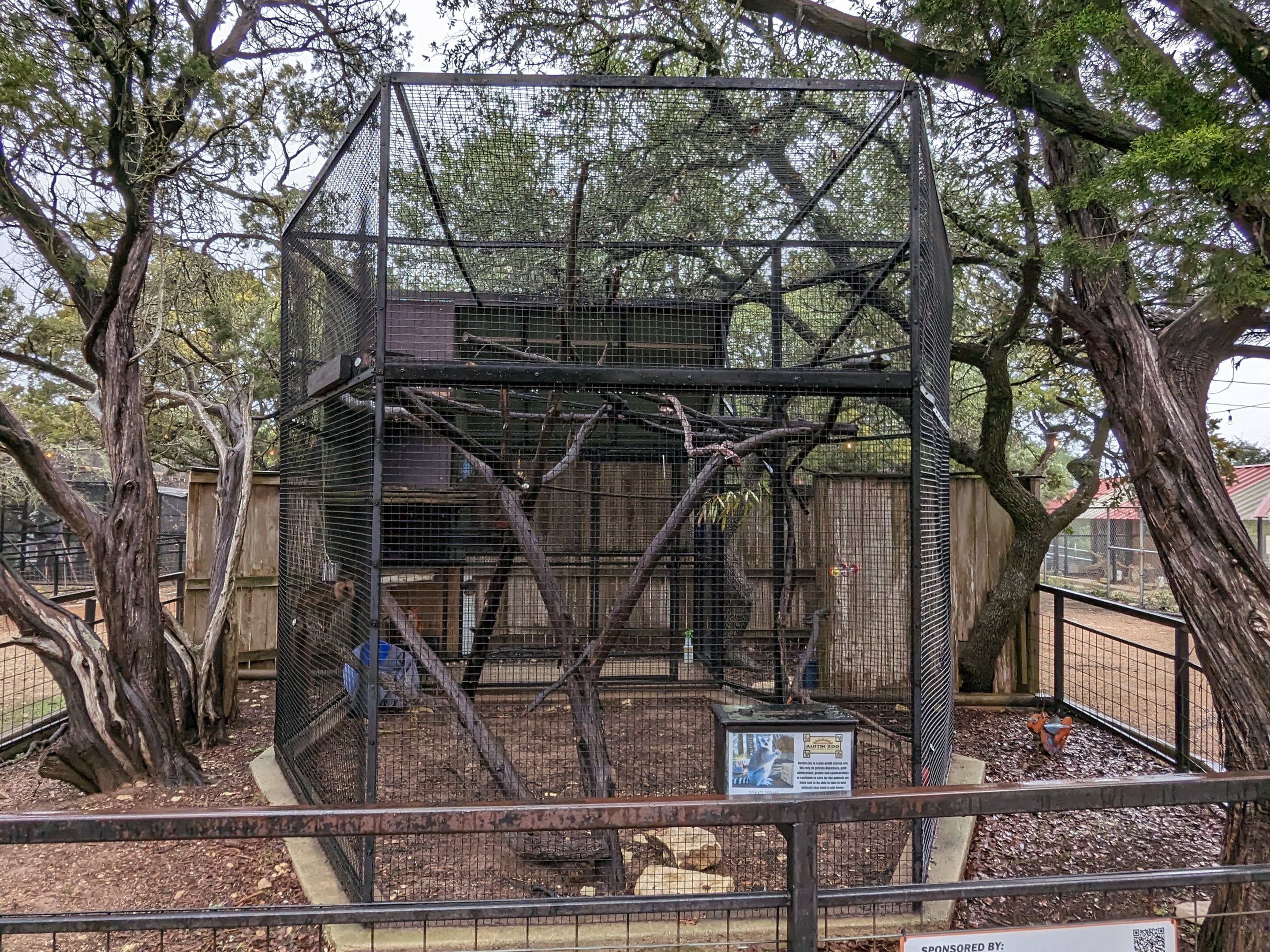 Ring tailed lemur cage