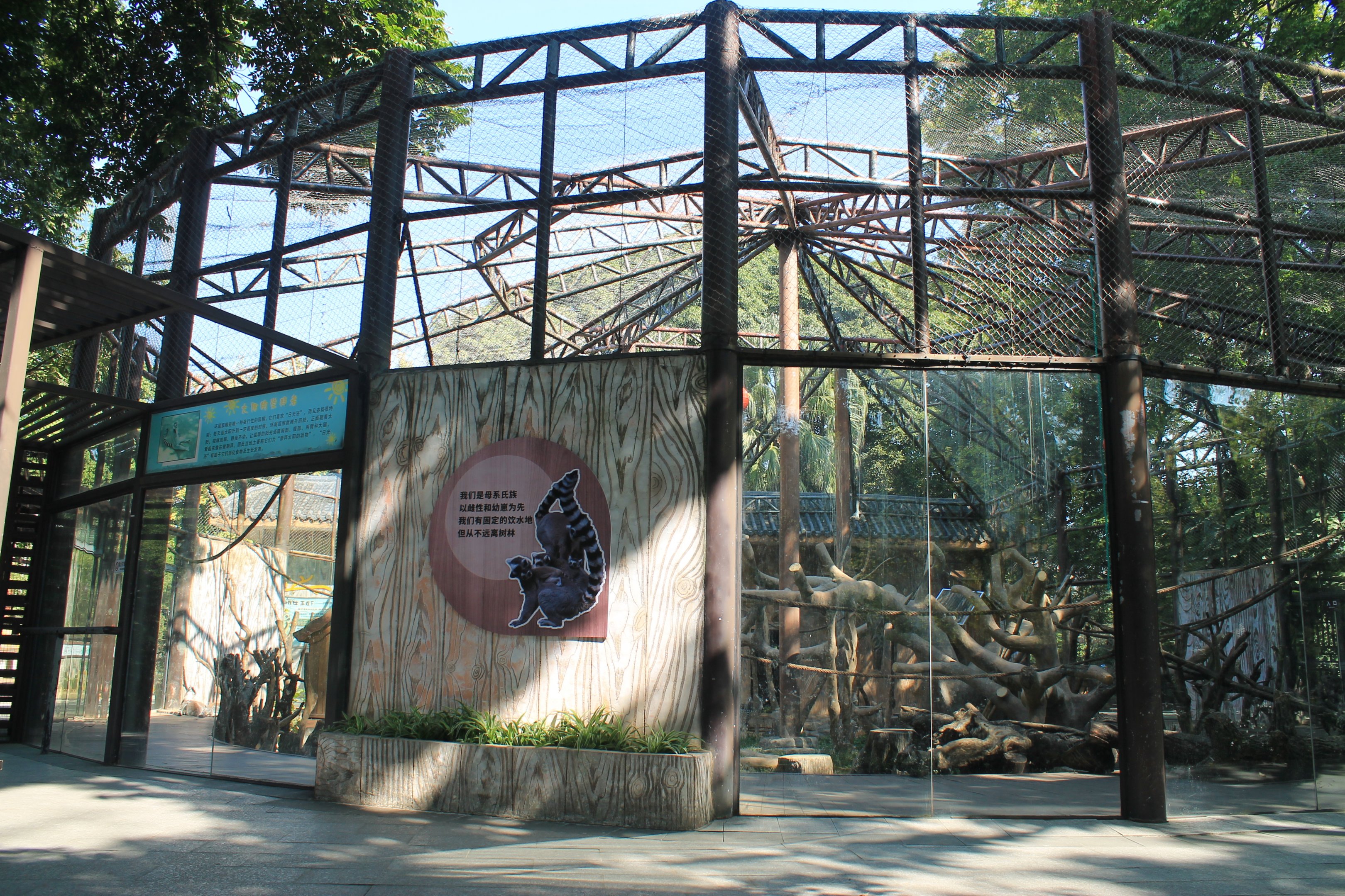 Ring-tailed Lemur cage