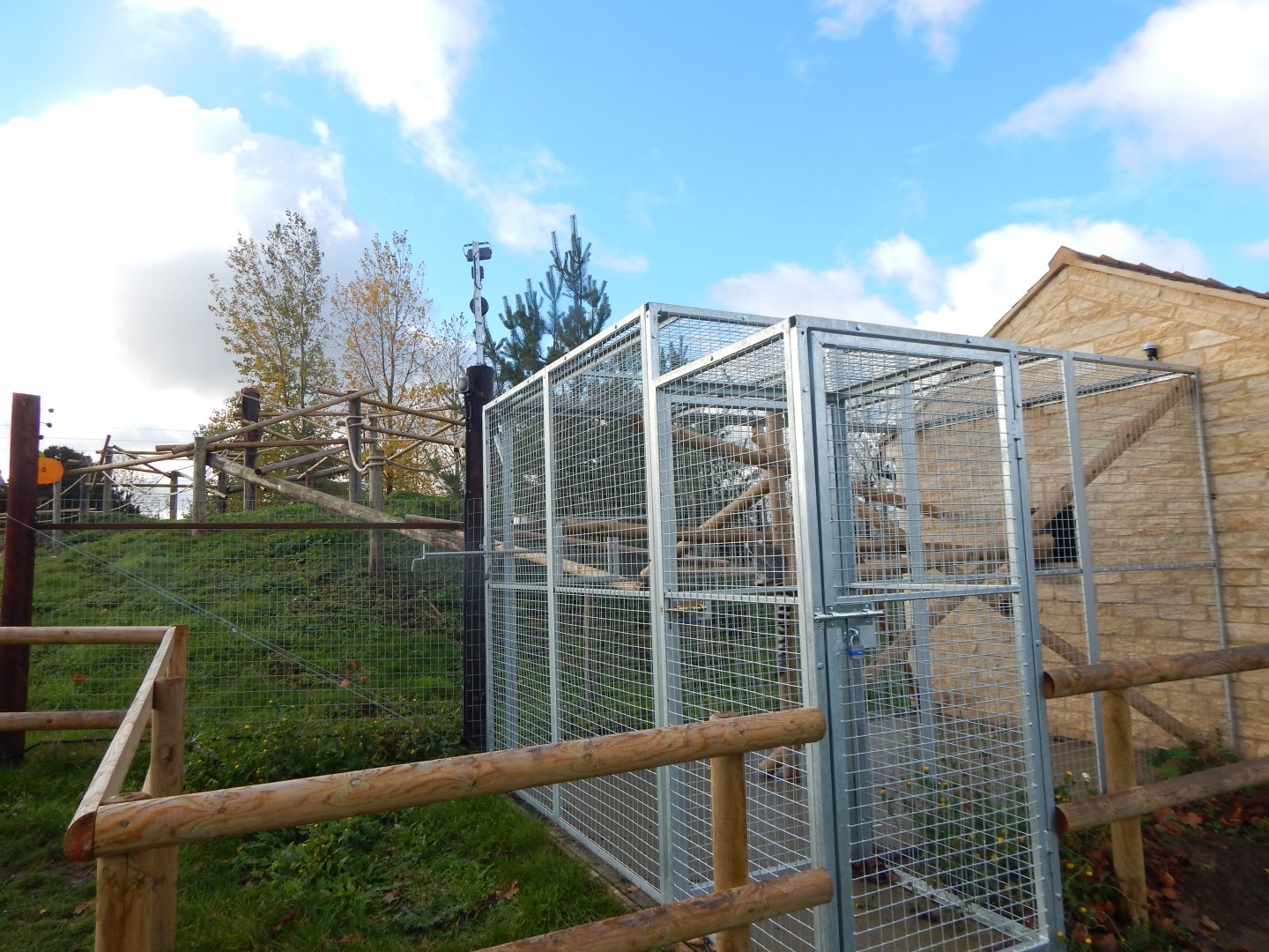 Ring-tailed lemur enclosure 021125