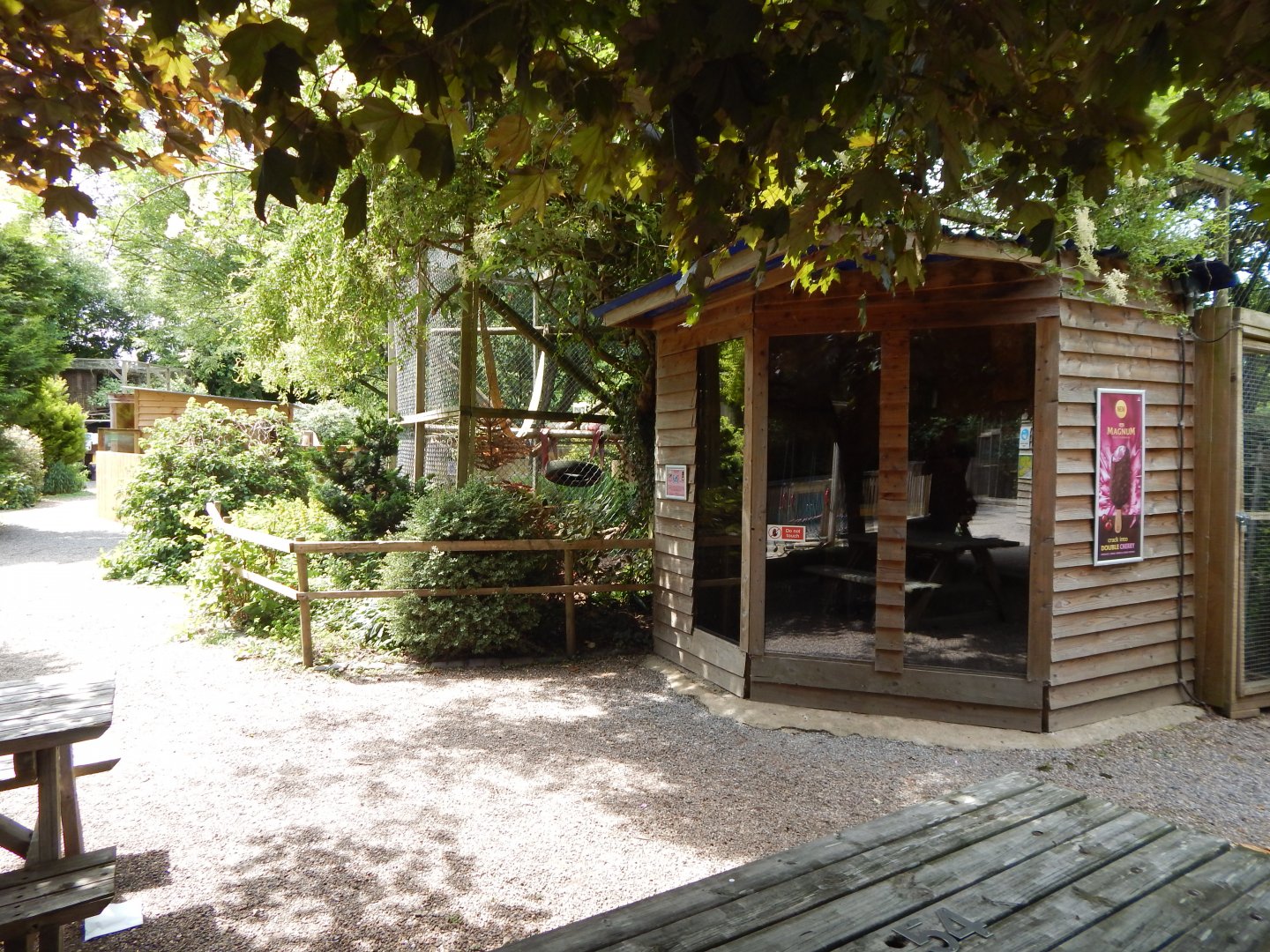 Ring-tailed lemur enclosure 060625