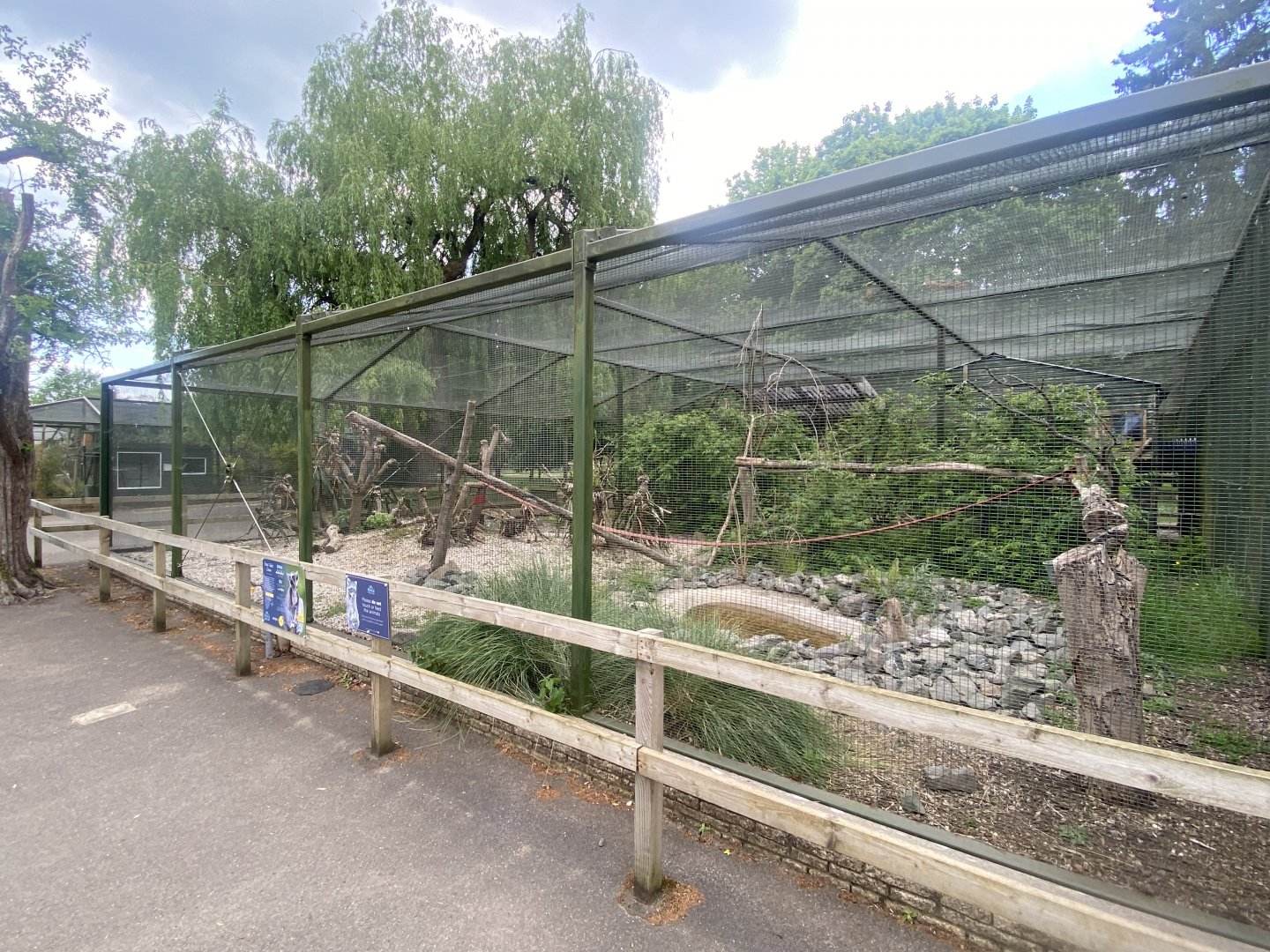 Ring-tailed lemur enclosure 090525