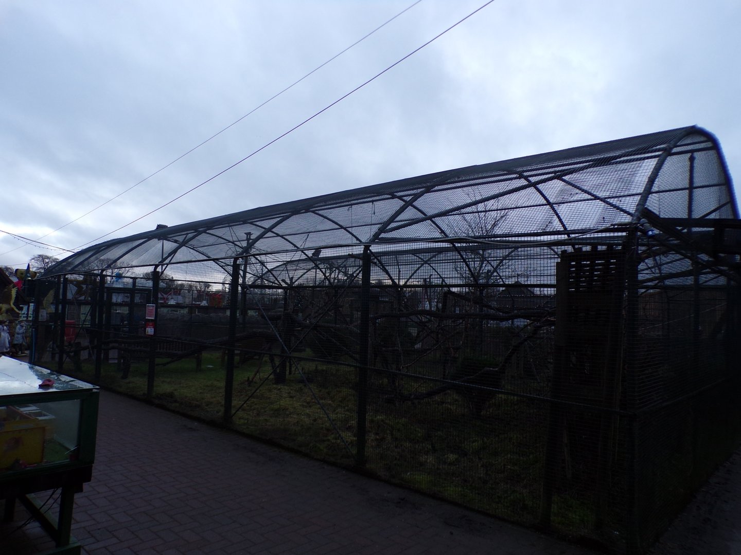 Ring tailed lemur enclosure 1.1.23