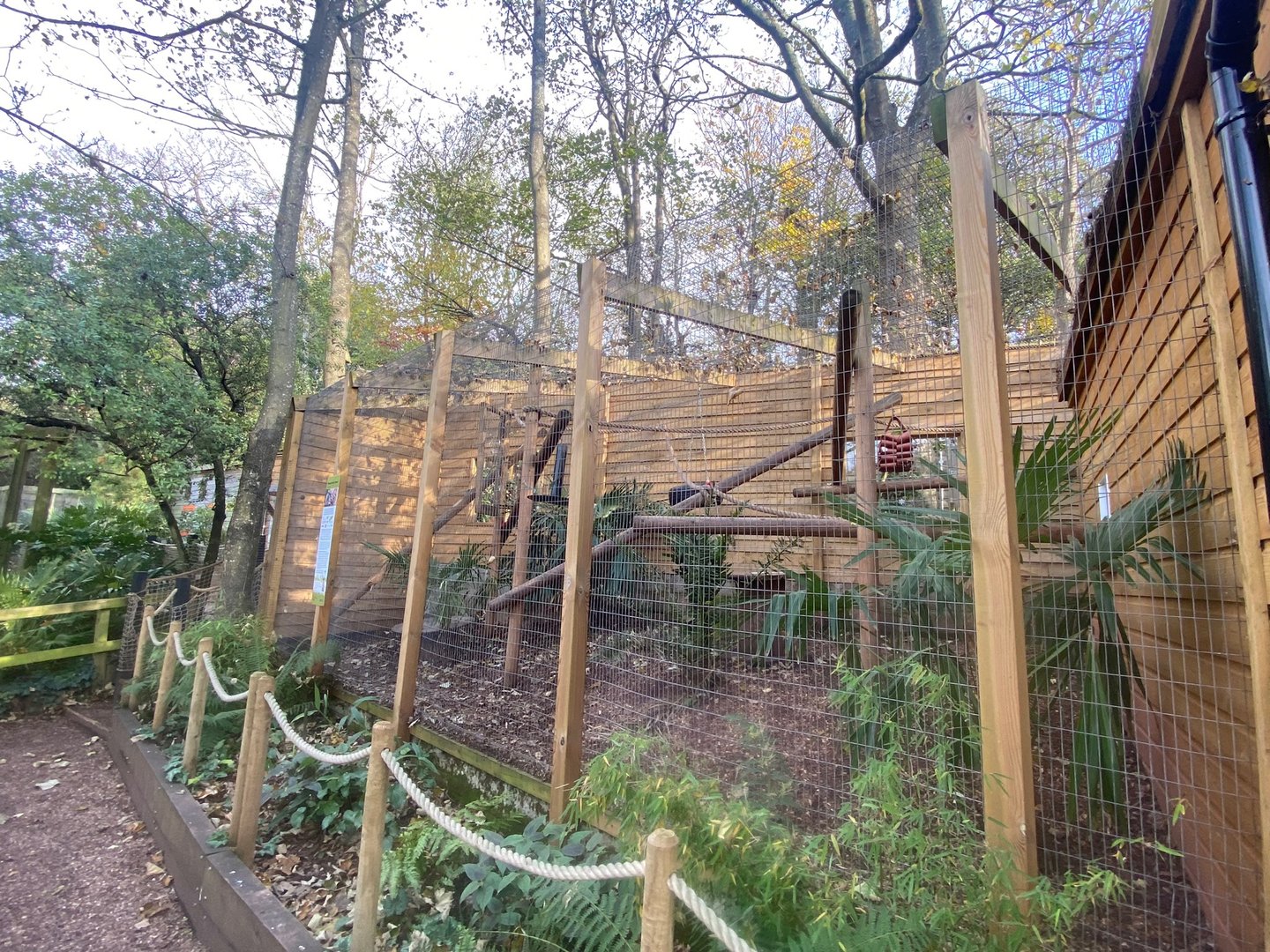 Ring-tailed lemur enclosure 111222