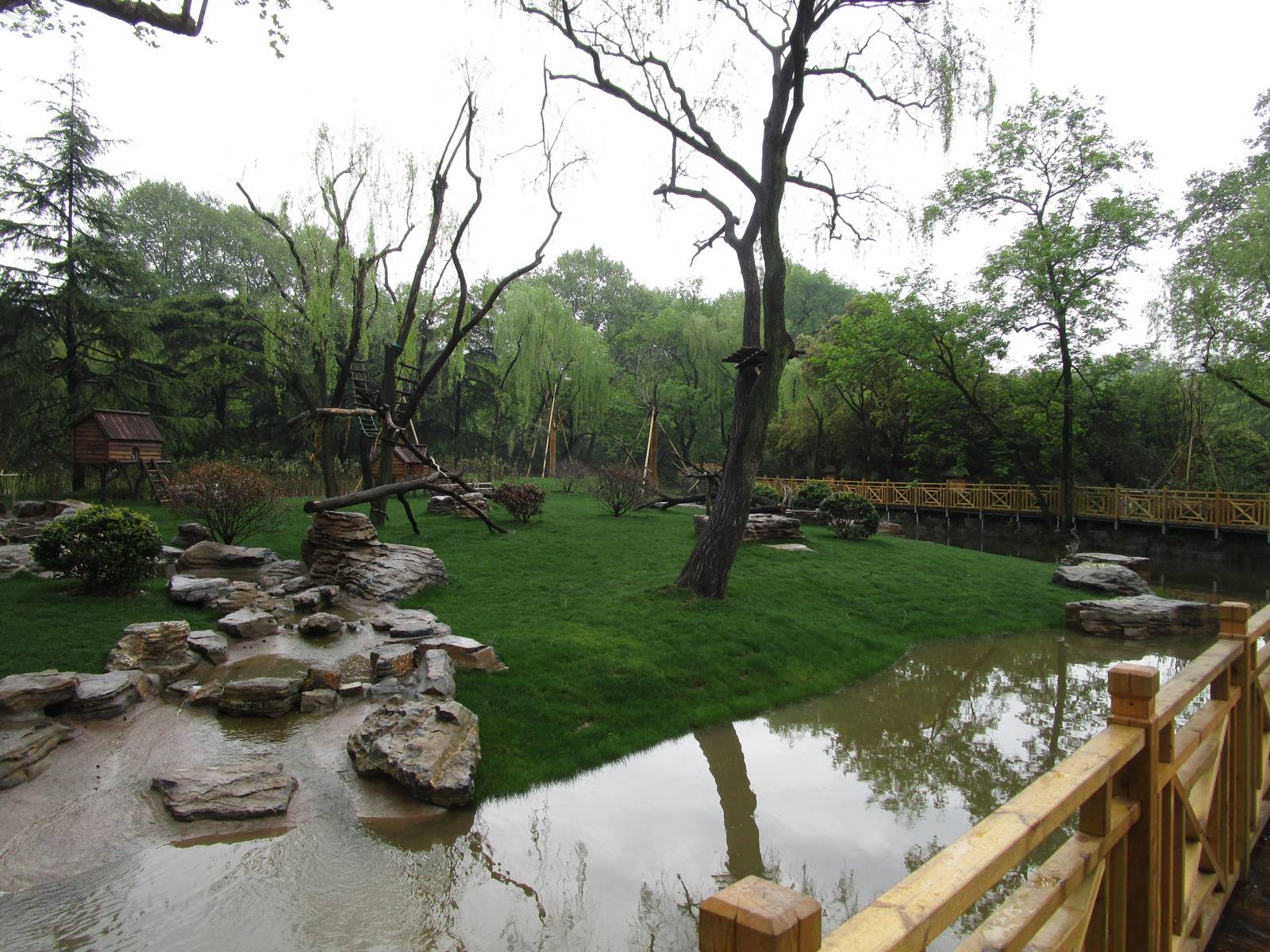 Ring-tailed Lemur Enclosure - 16/04/2016