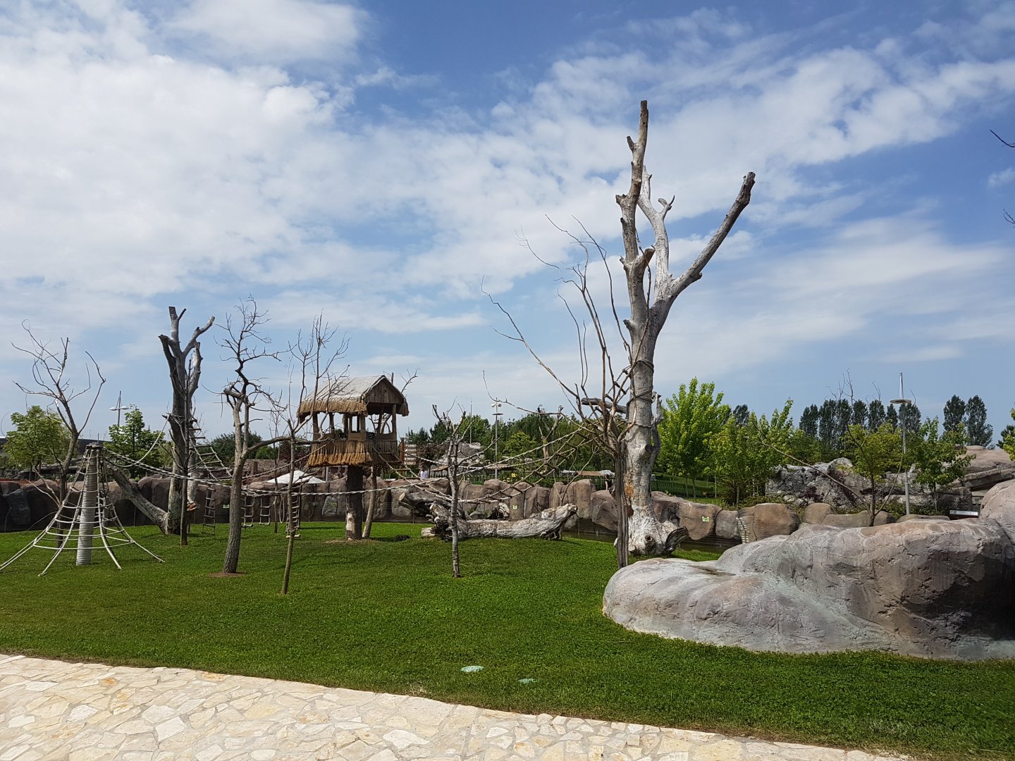 Ring-tailed lemur enclosure 19 May 2018
