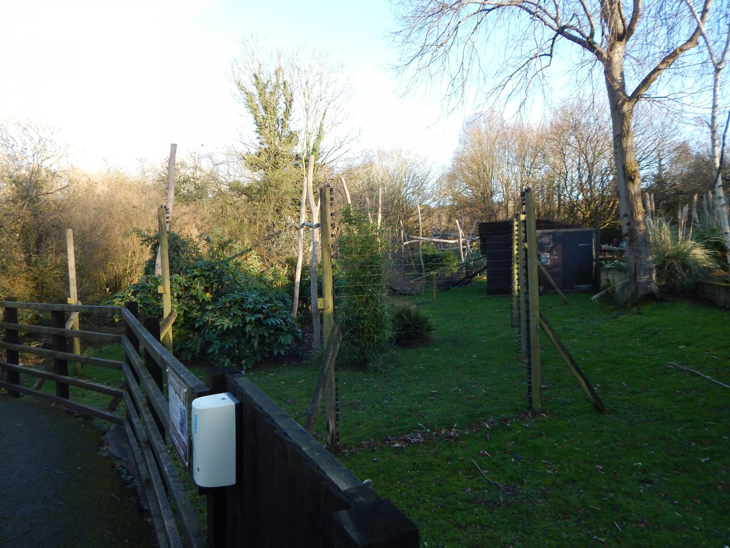 Ring-tailed lemur enclosure 260124