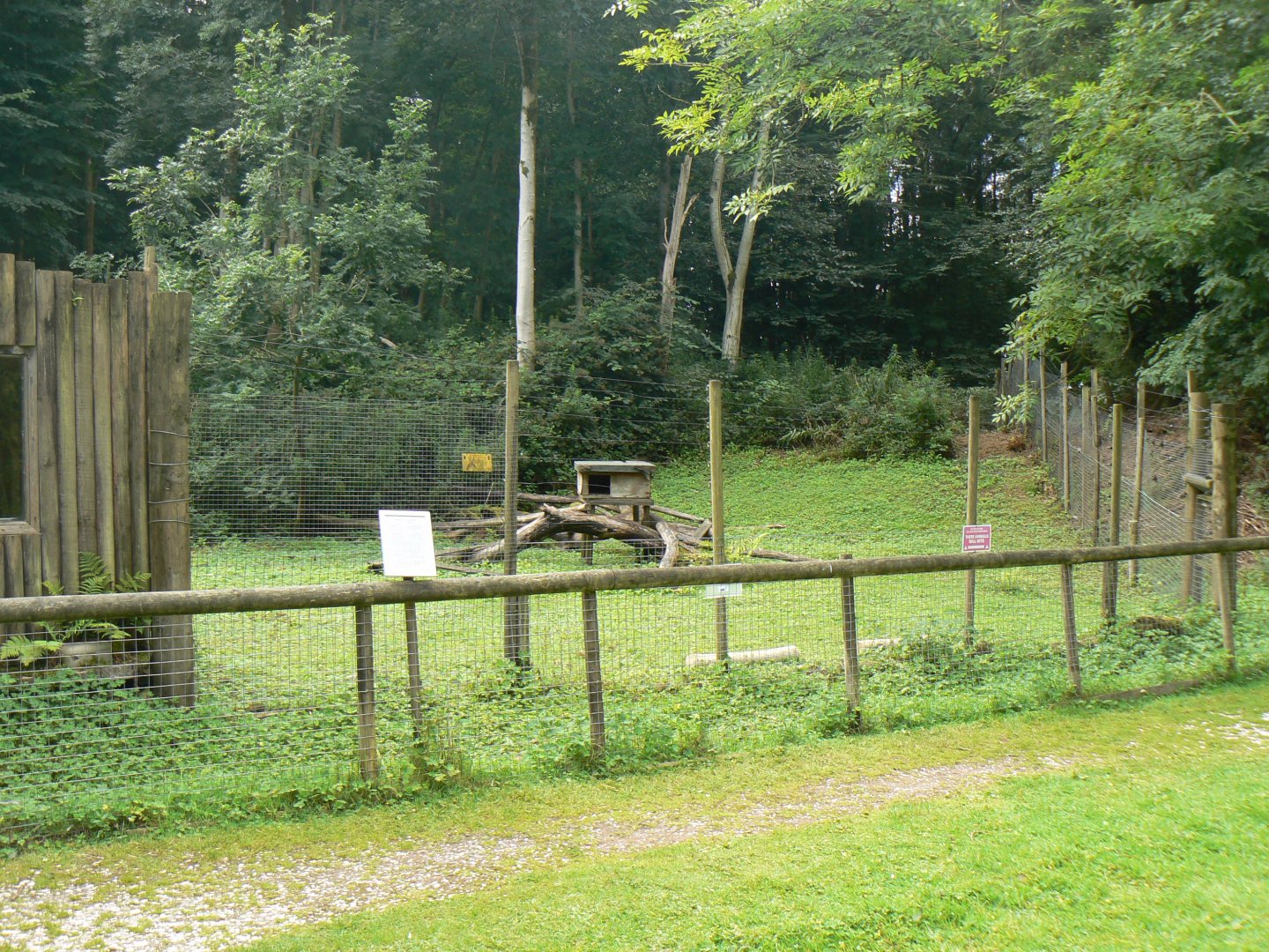 Ring-tailed Lemur Enclosure - 8 August 2017