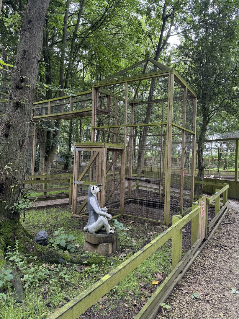 Ring-tailed Lemur Enclosure at Bridlington Animal Park (July 2024)