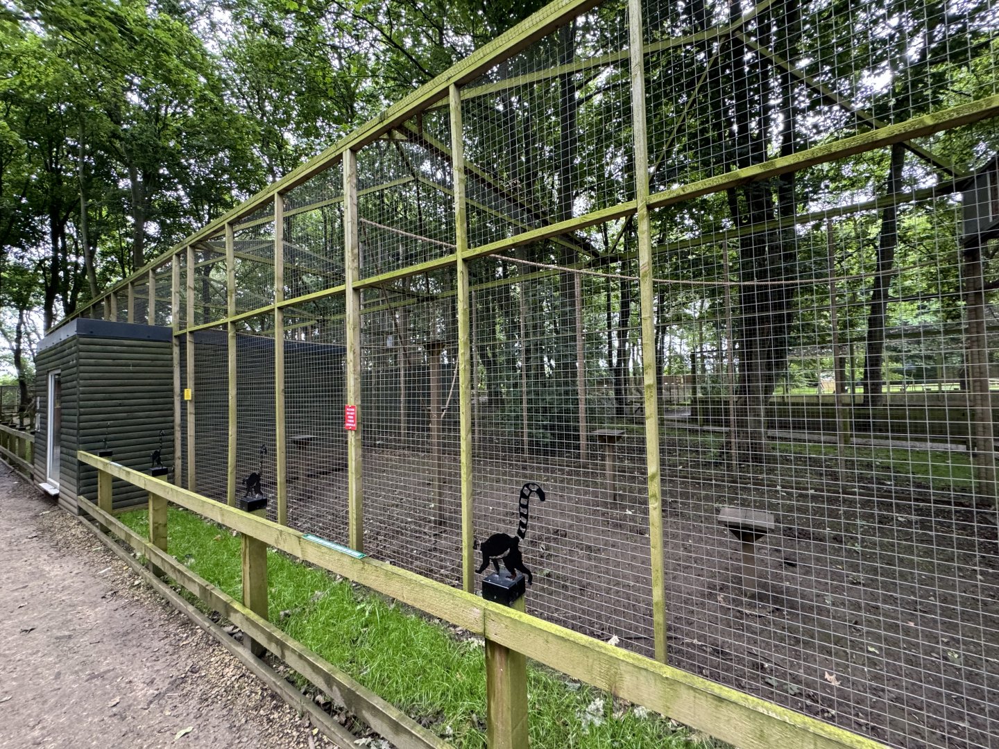 Ring-tailed Lemur Enclosure at Bridlington Animal Park (July 2024)