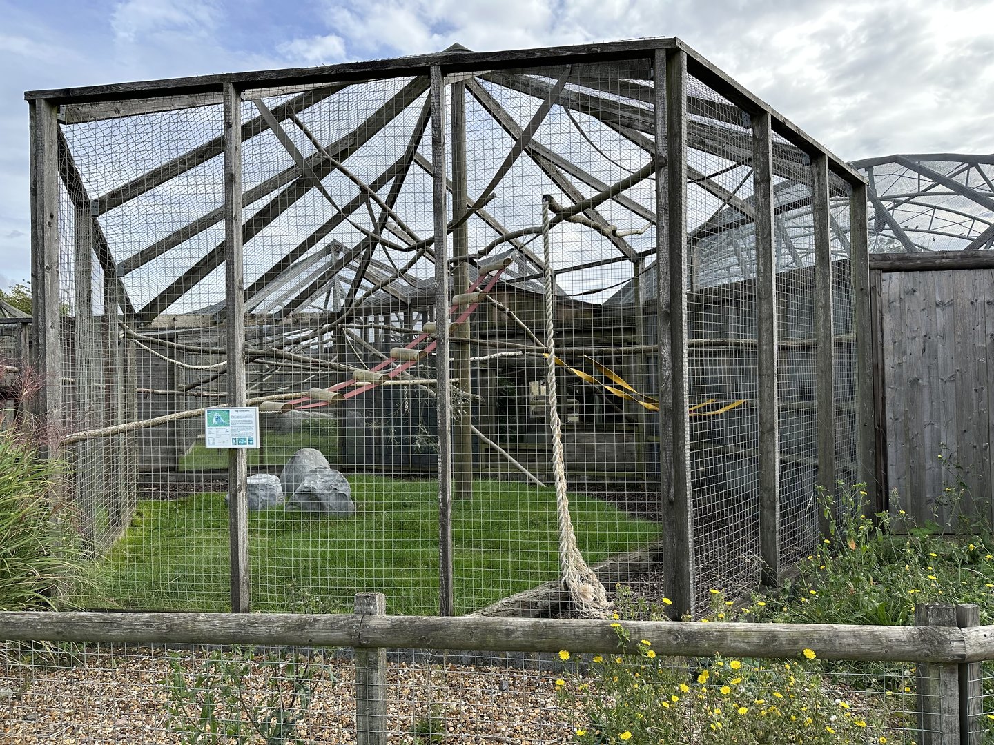 Ring-tailed Lemur Enclosure at Hamerton Zoo Park (October 2023)