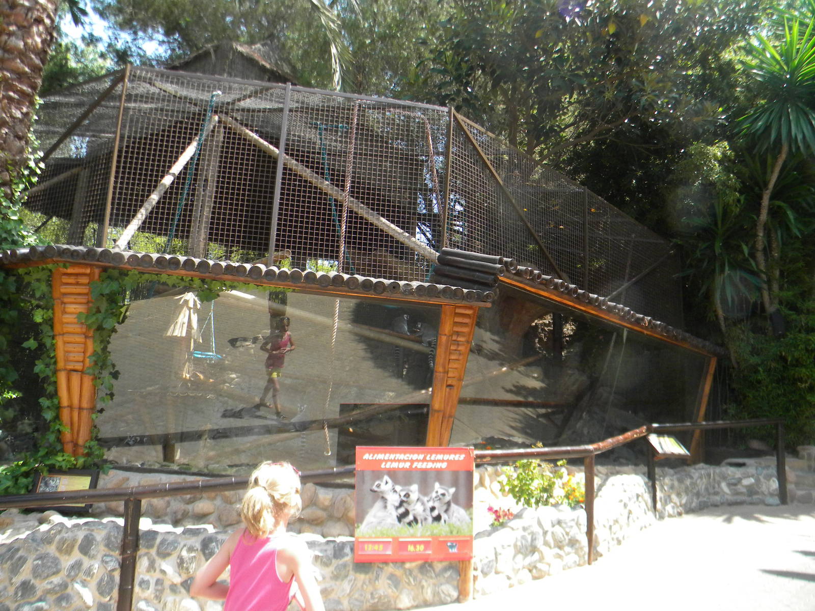Ring-tailed Lemur enclosure at Mundo Mar 01/08/11