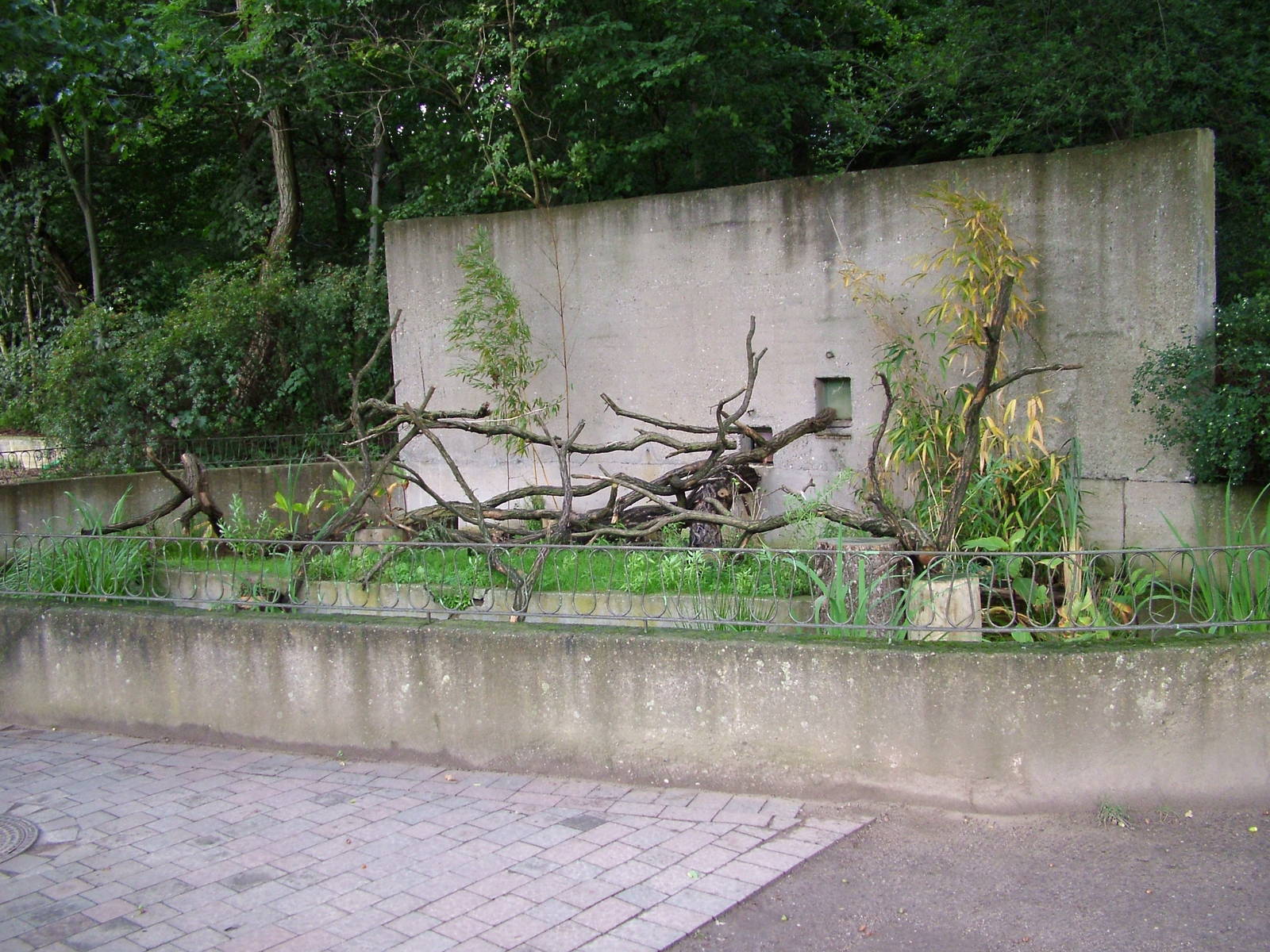 Ring-tailed Lemur enclosure at Zoo Rostock Sept 2007