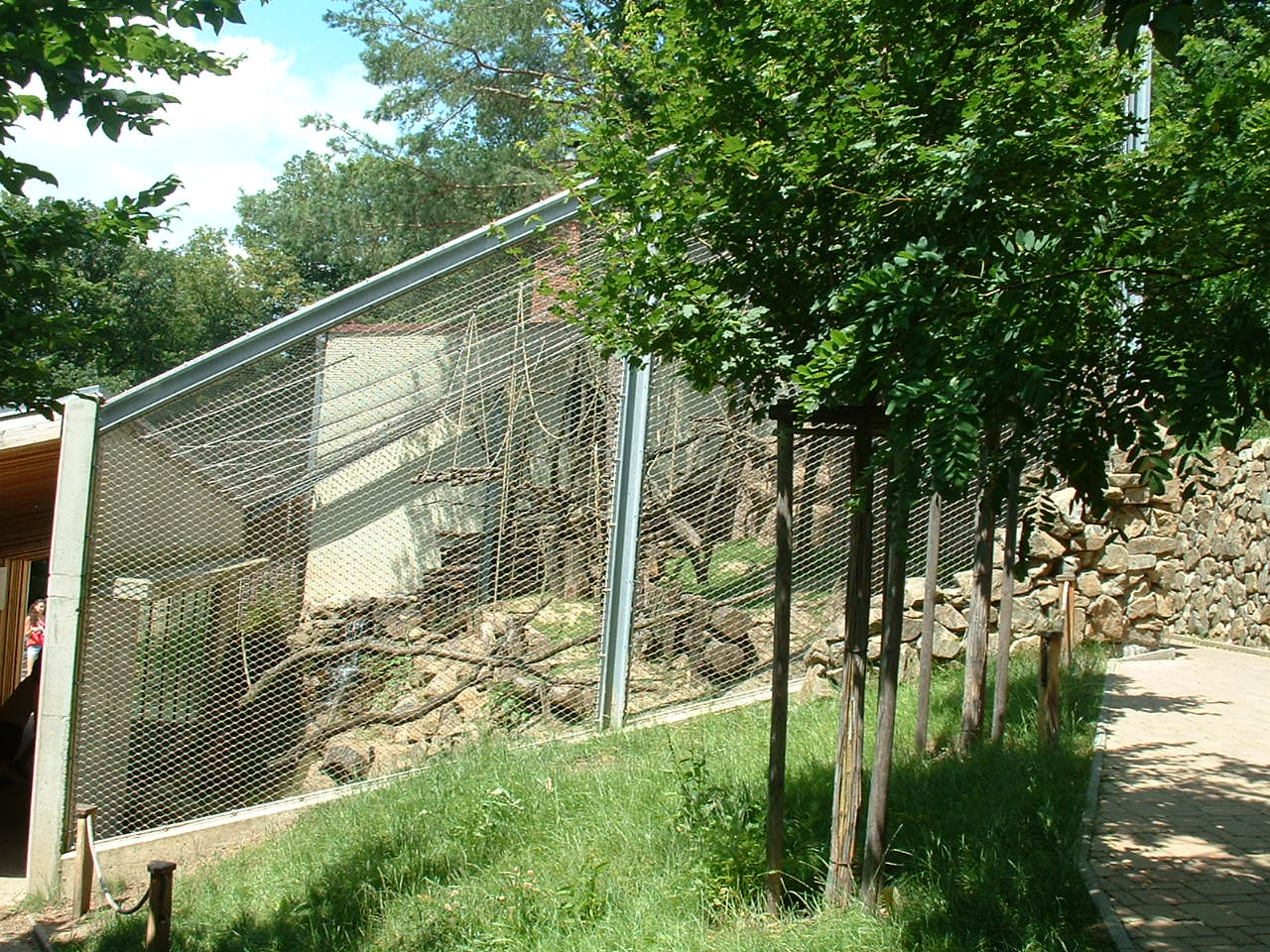 Ring-tailed Lemur Enclosure - Brno Zoo, July 2013