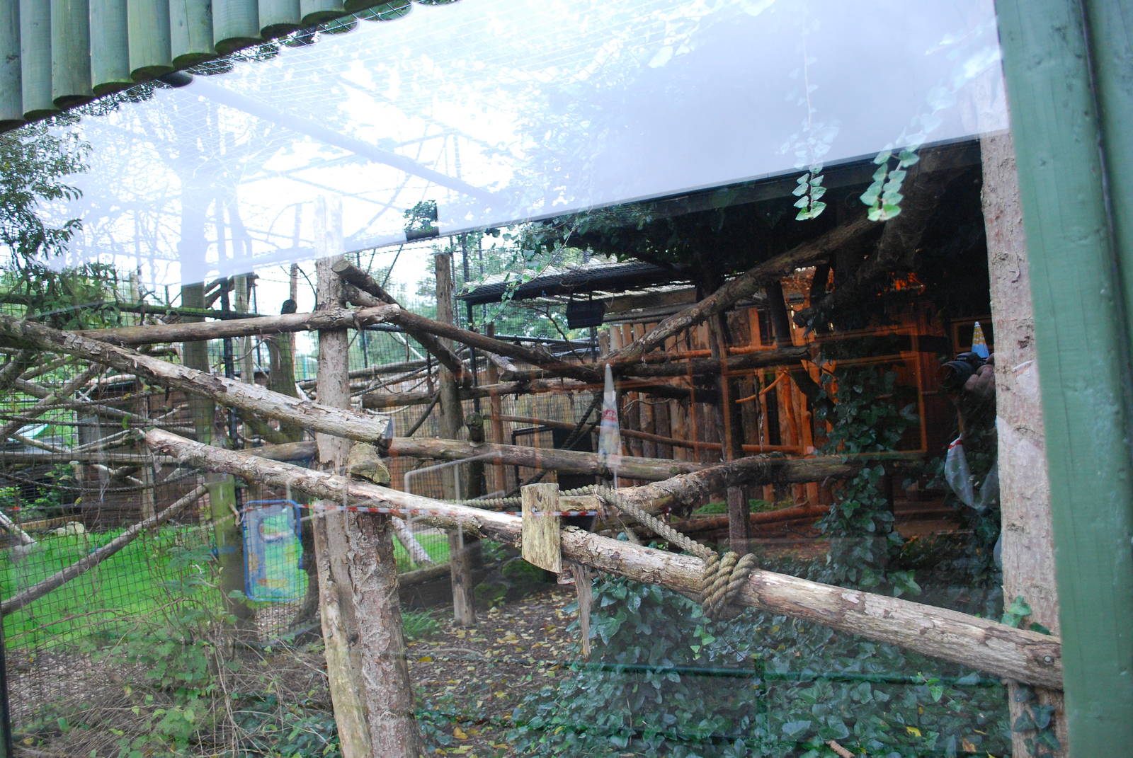 RING TAILED LEMUR ENCLOSURE INSIDE