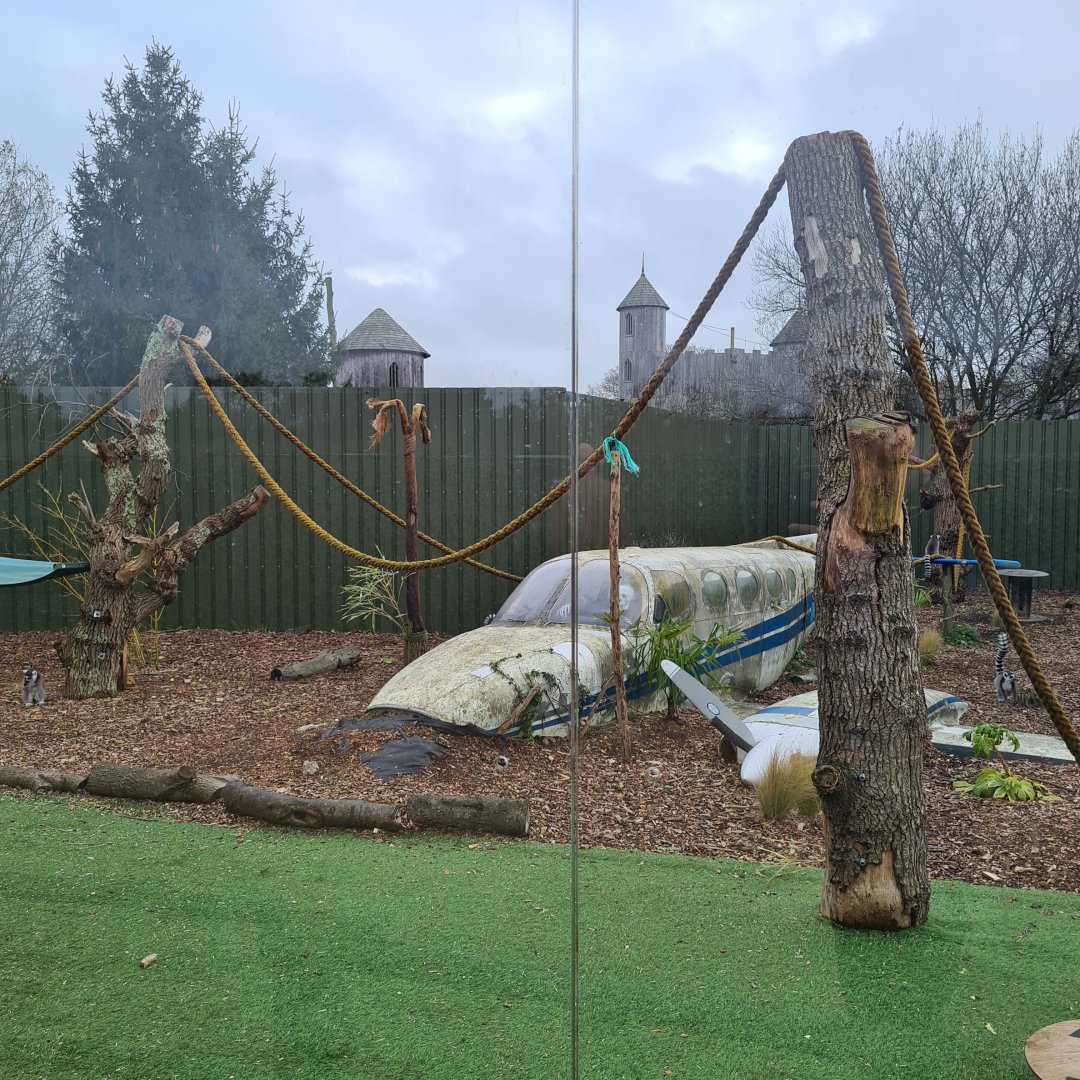 Ring-Tailed Lemur Enclosure, Knockhatch