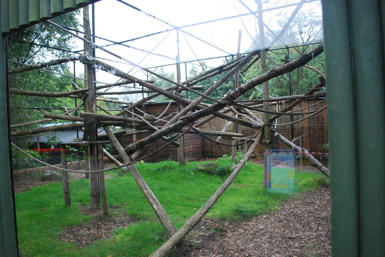 RING TAILED LEMUR ENCLOSURE OUTSIDE