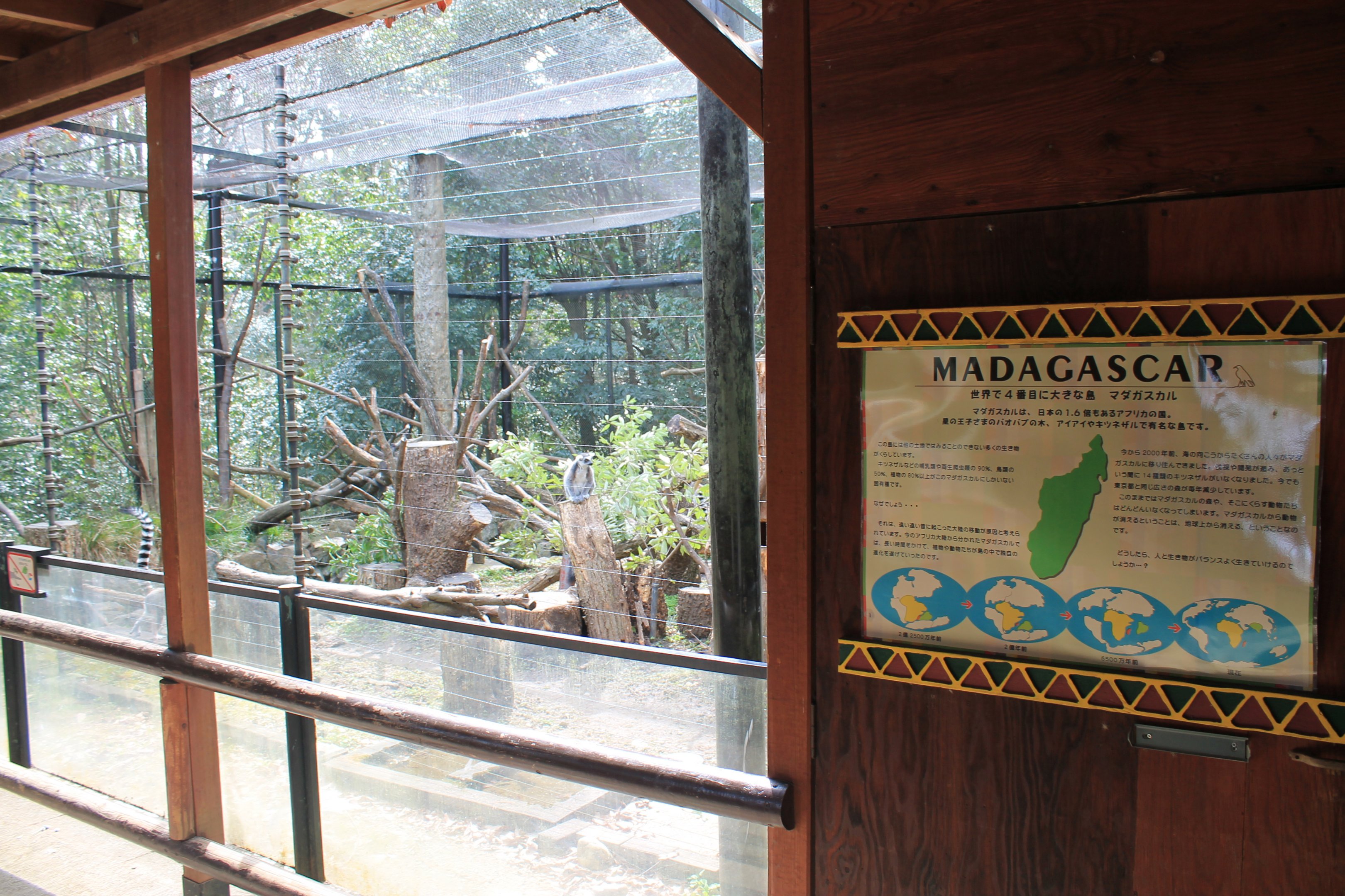 Ring-tailed Lemur enclosure - Saitama Childrens Zoo