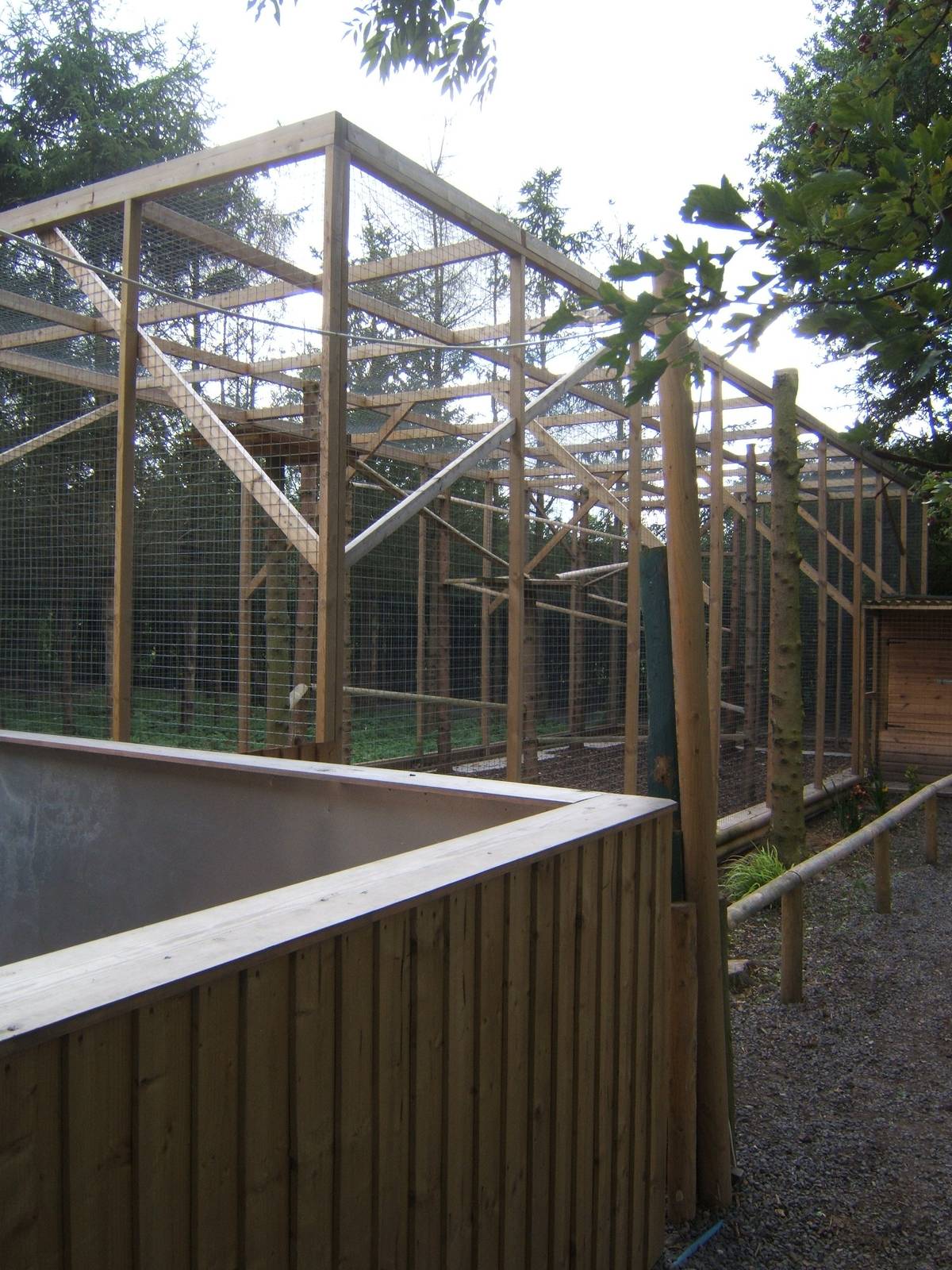 Ring-tailed Lemur enclosure