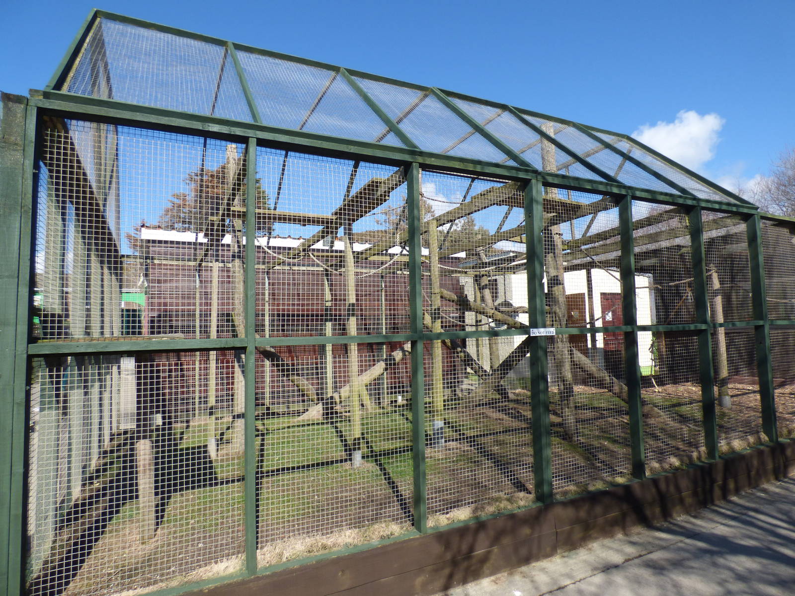 Ring-Tailed Lemur Enclosure