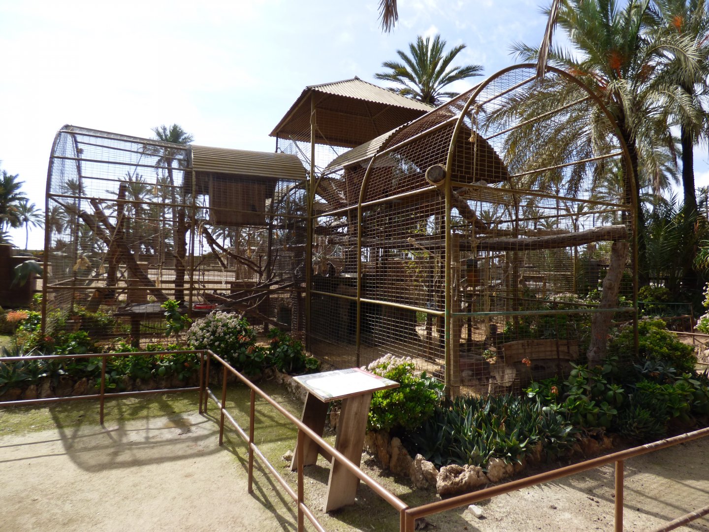 Ring-Tailed Lemur Enclosure