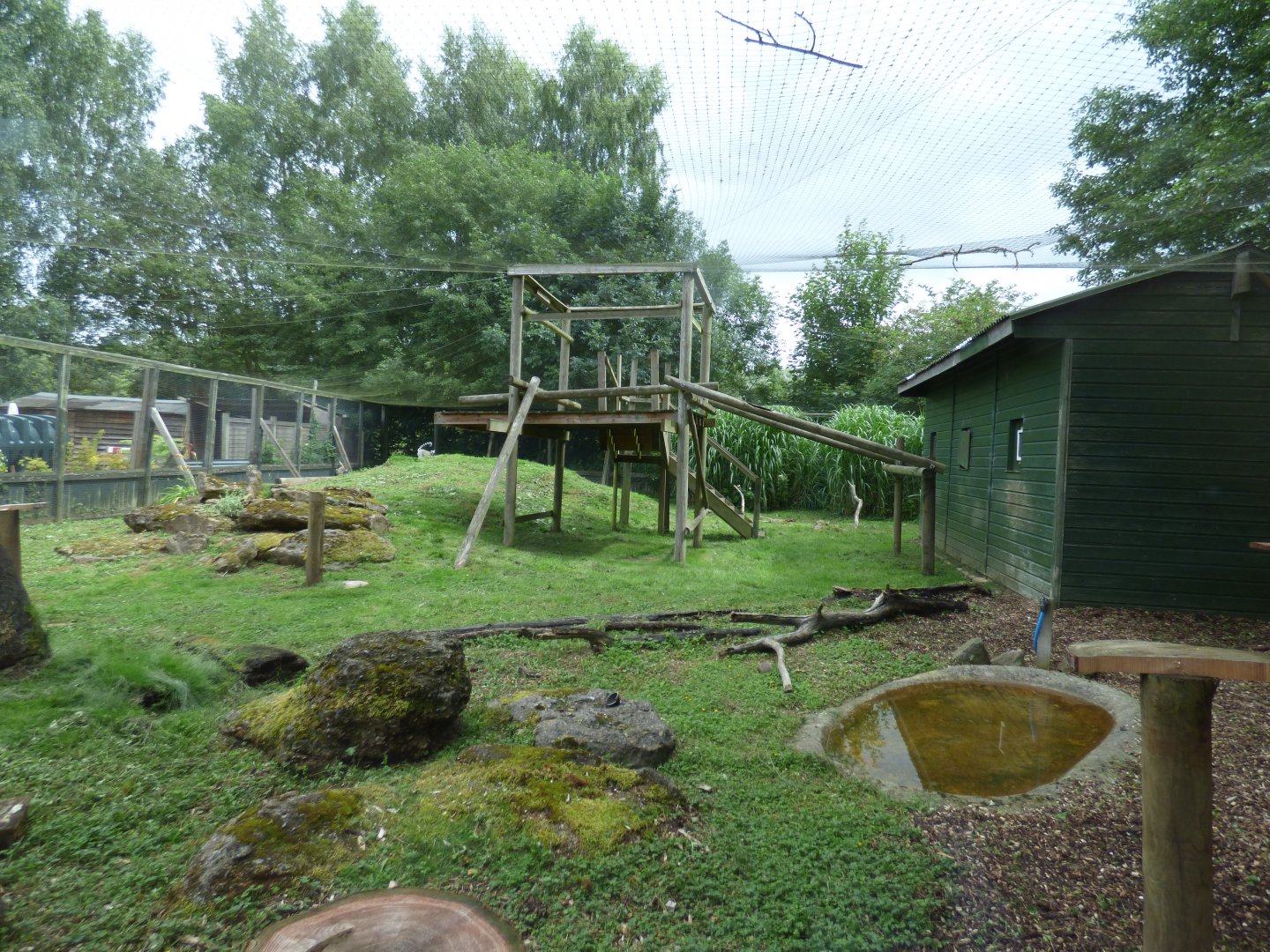 Ring-tailed Lemur Enclosure