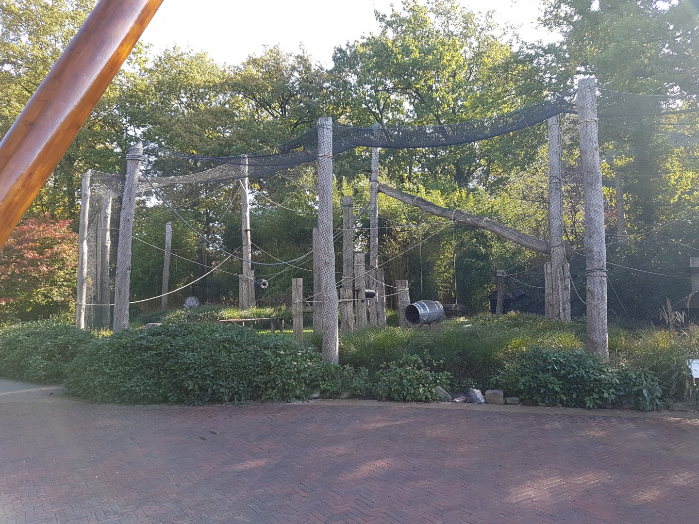 Ring-tailed lemur-enclosure