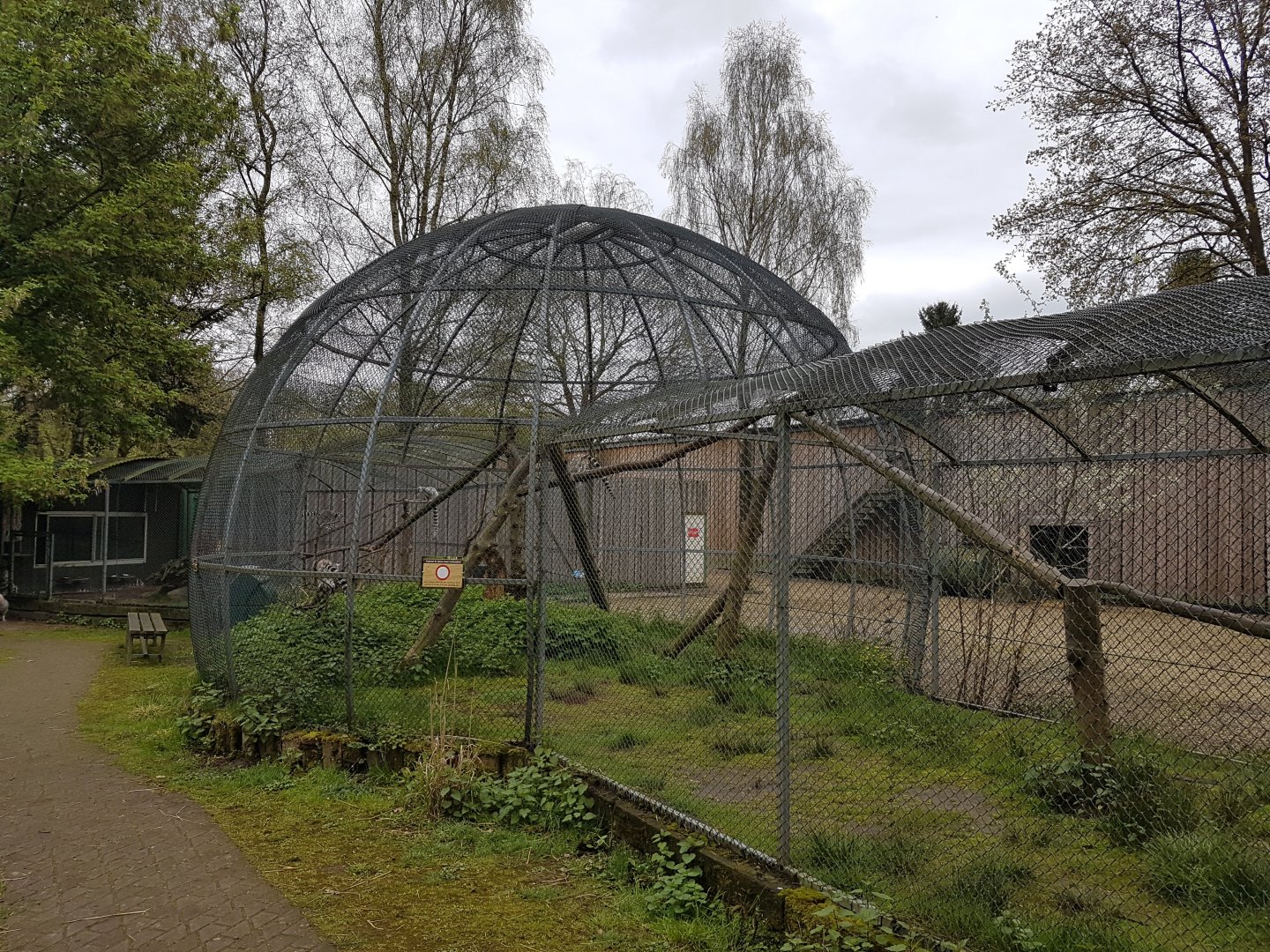 Ring-tailed lemur enclosure