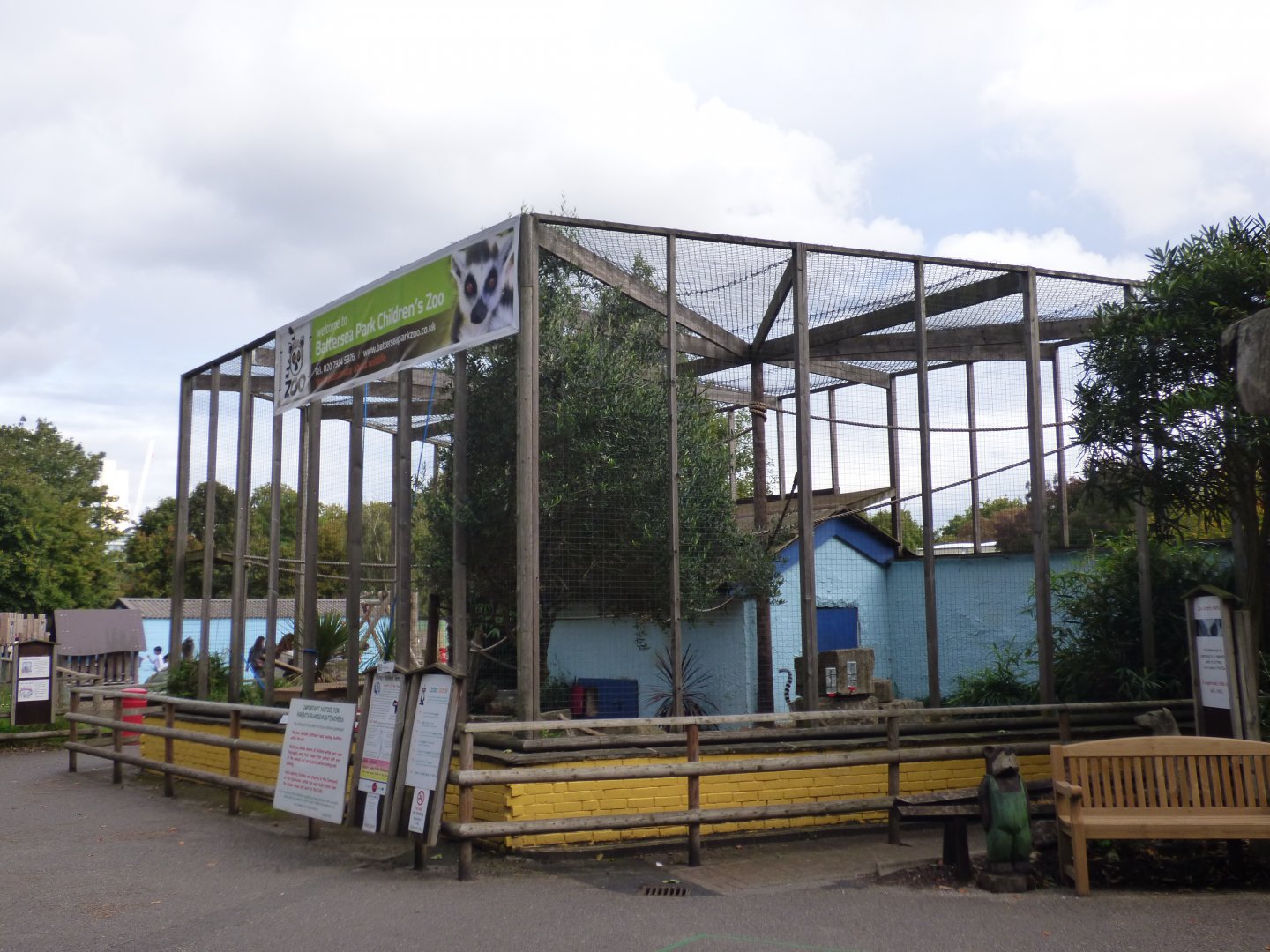 Ring-tailed Lemur Enclosure