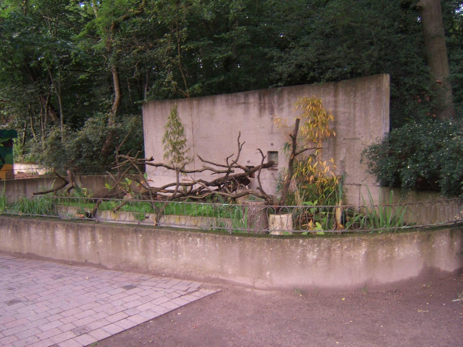 Ring-tailed Lemur enclosure