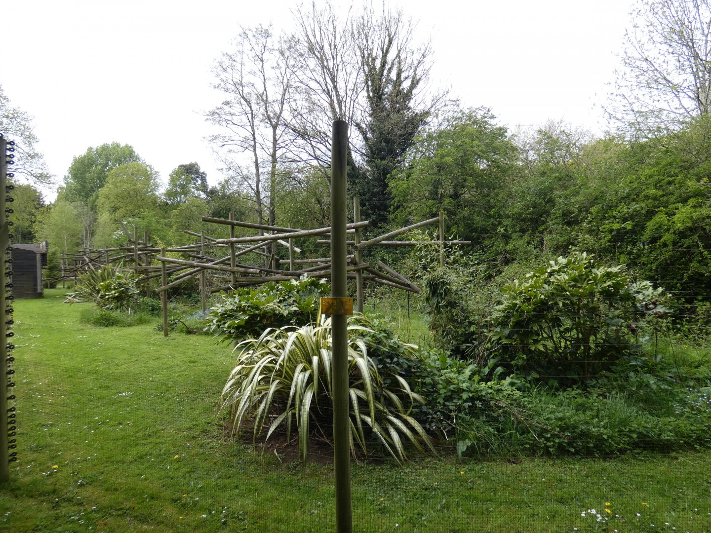 Ring-tailed lemur enclosure