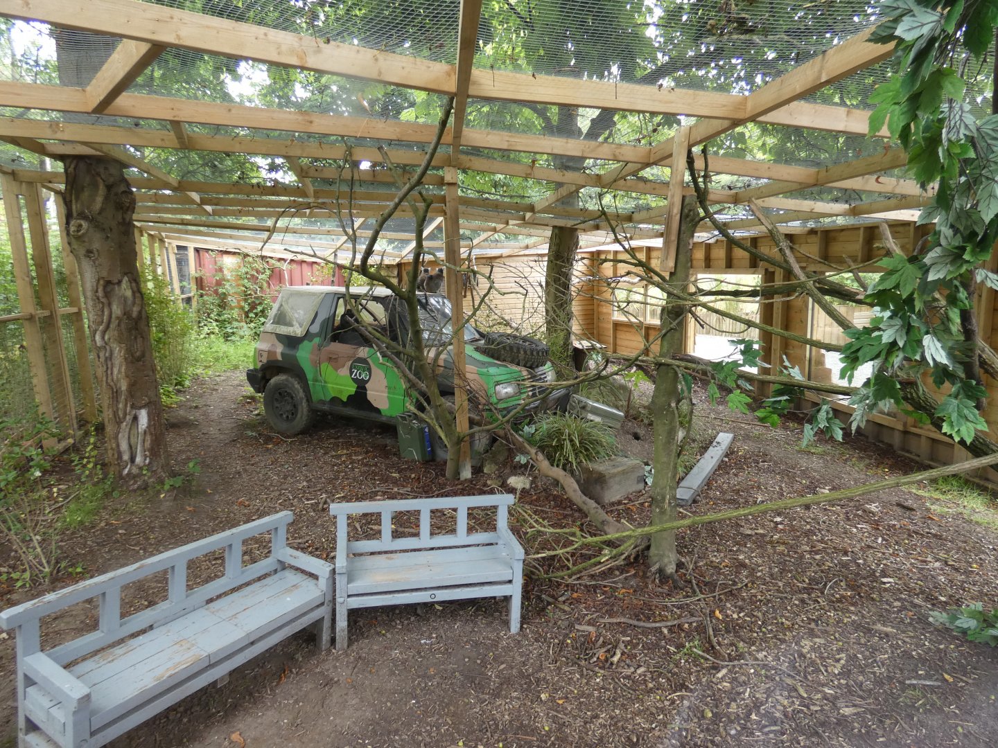 Ring-tailed lemur enclosure
