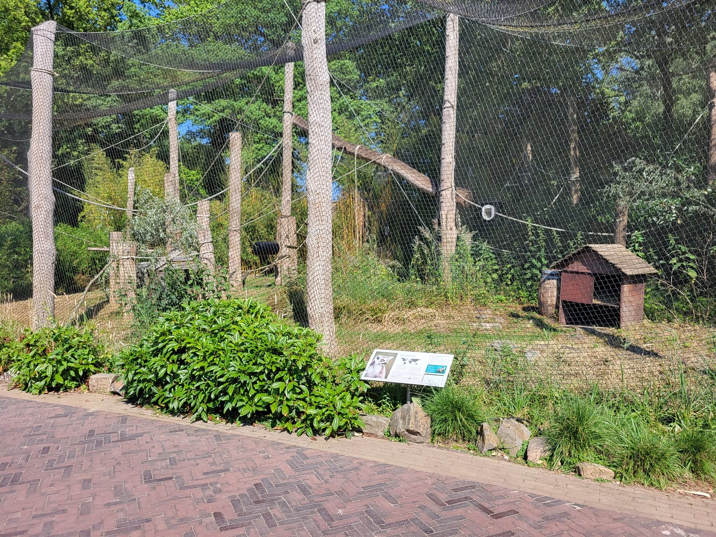 Ring-tailed lemur enclosure