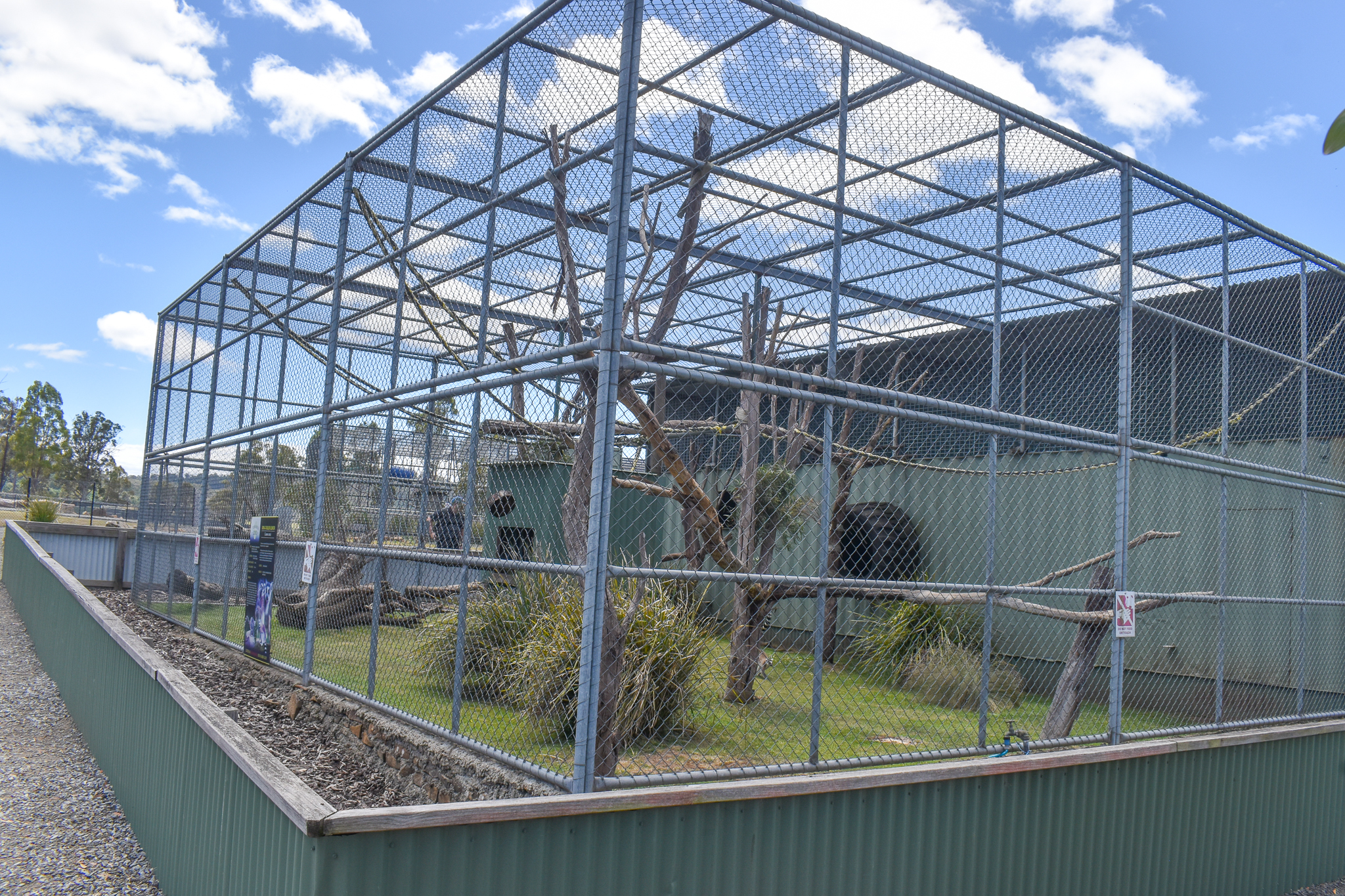 Ring-tailed Lemur Enclosure