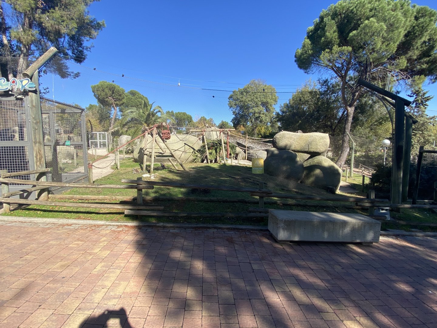Ring-tailed lemur enclosure