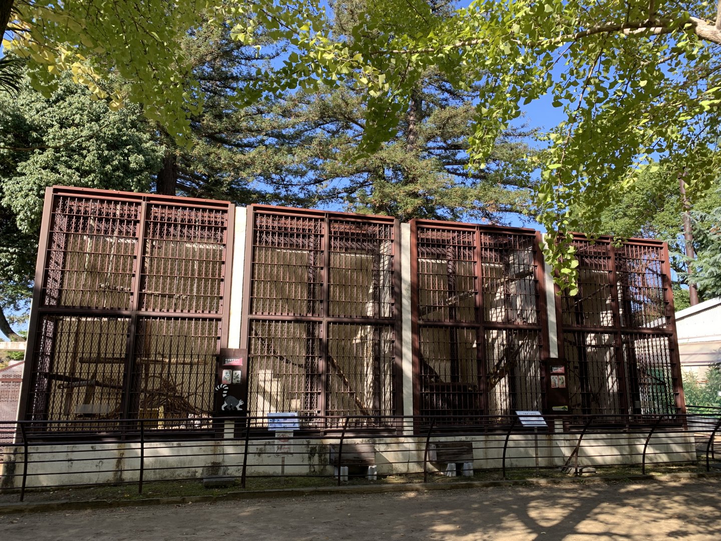 Ring-tailed Lemur Enclosures (Himeji City Zoo)