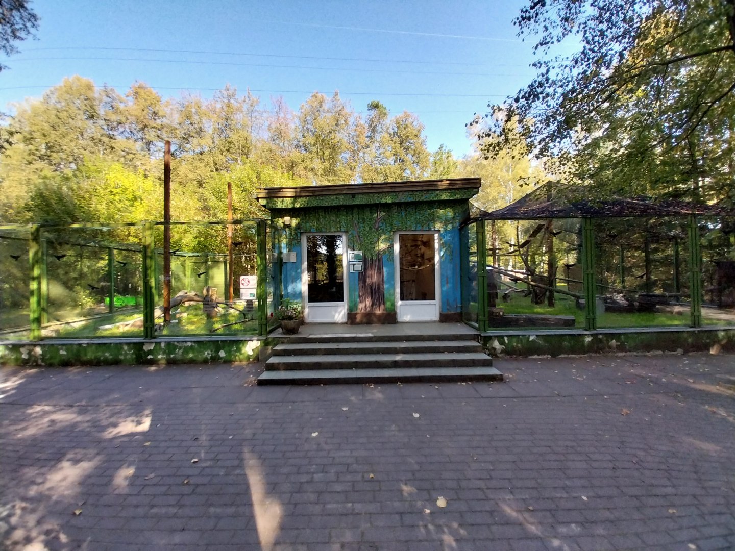 Ring-tailed Lemur enclosures