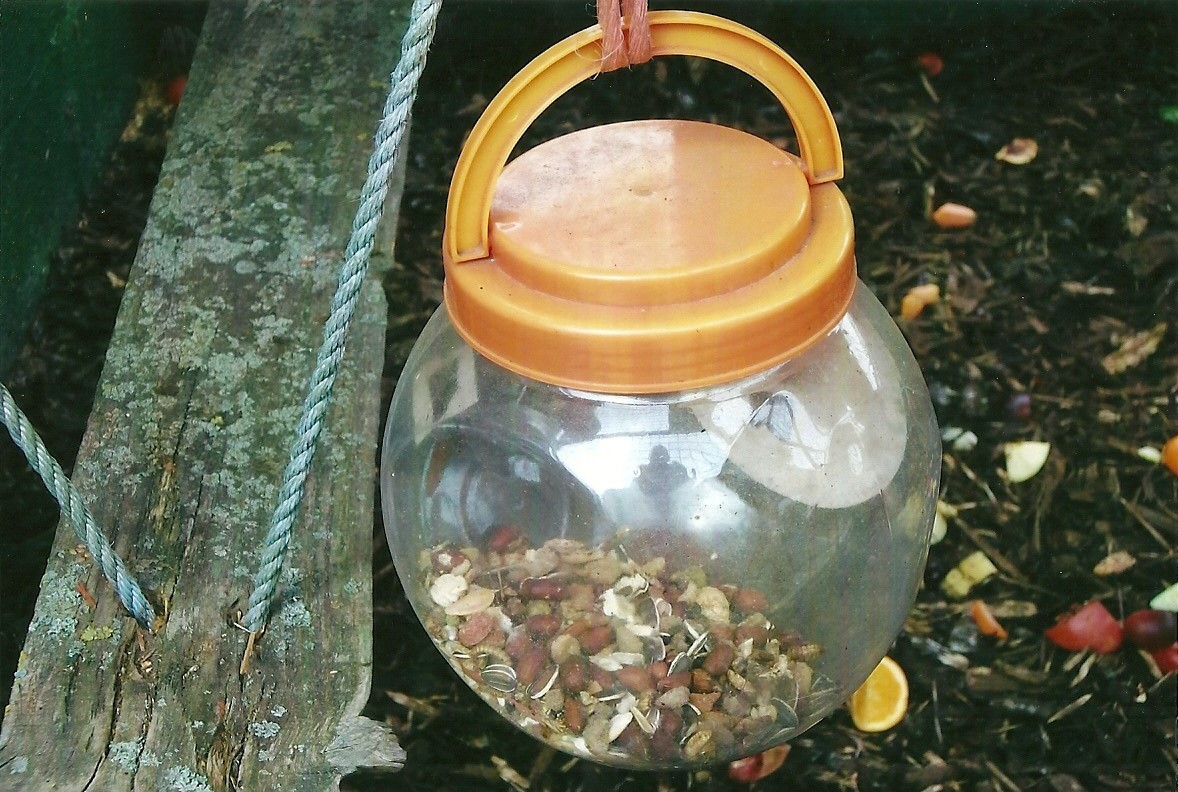 Ring-tailed Lemur enrichment, 13th September 2013