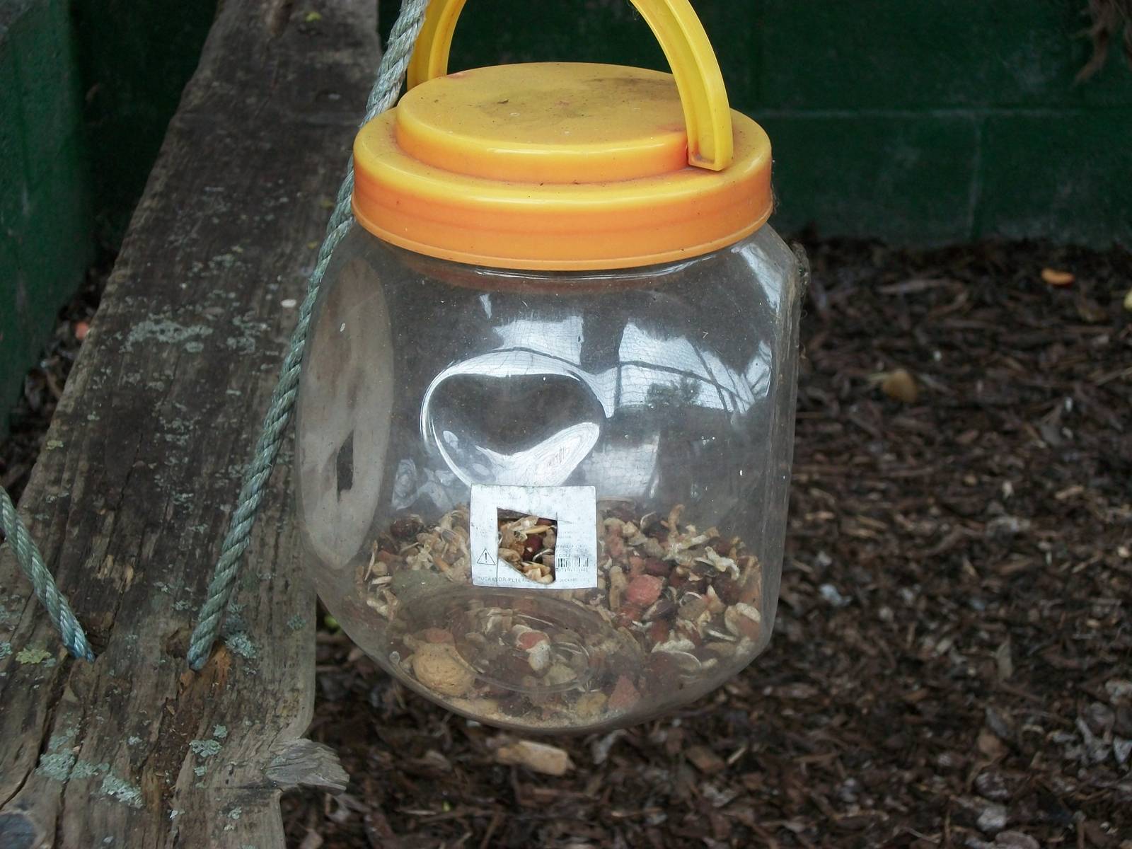 Ring-tailed Lemur enrichment, 23rd September 2014