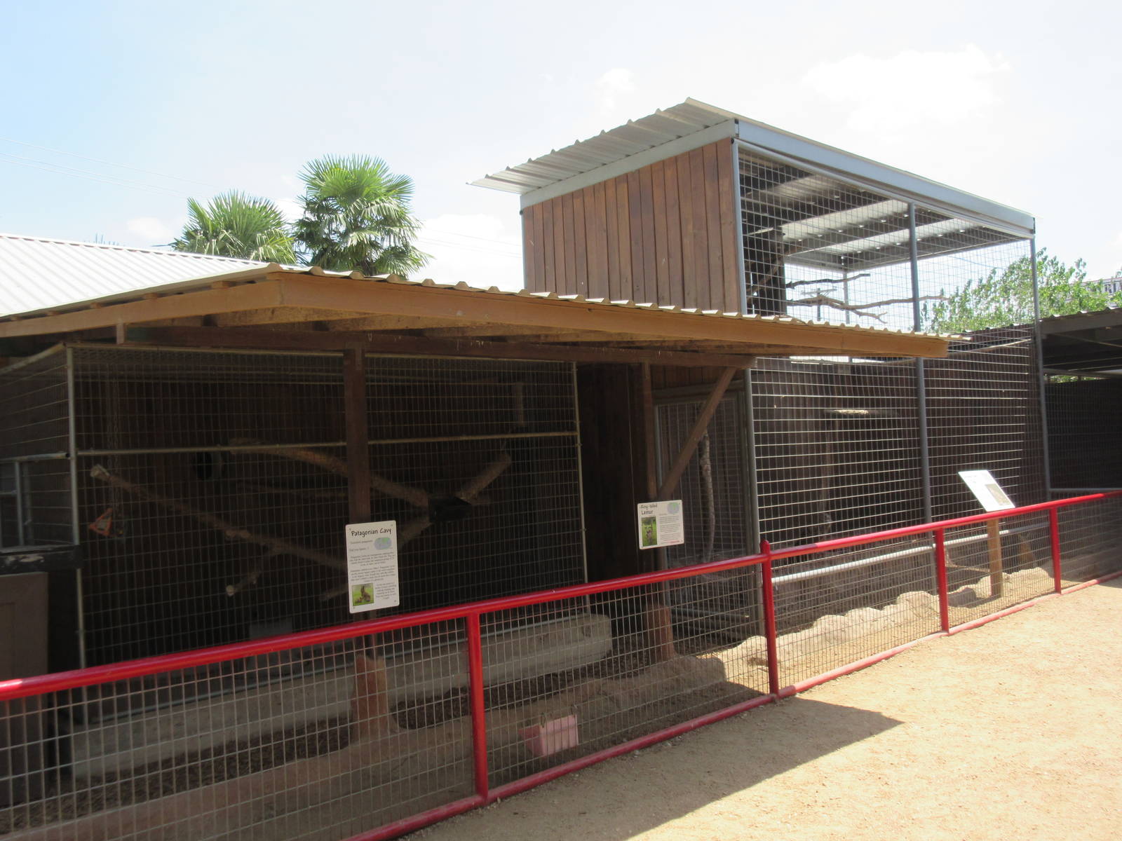 Ring-Tailed Lemur + Eurasian Eagle Owl Exhibits