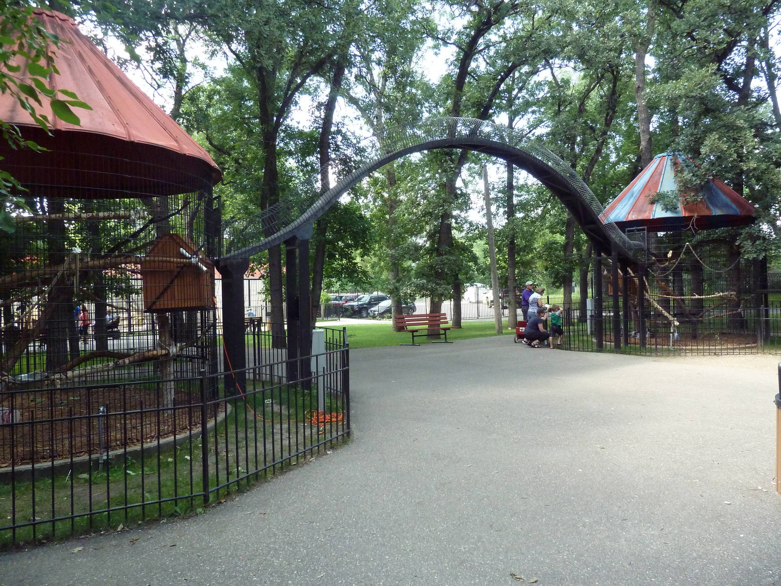 Ring-Tailed Lemur Exhibit (adjoining cages)