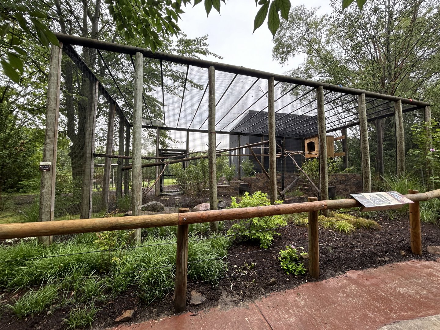 Ring-tailed Lemur Exhibit - African Journey