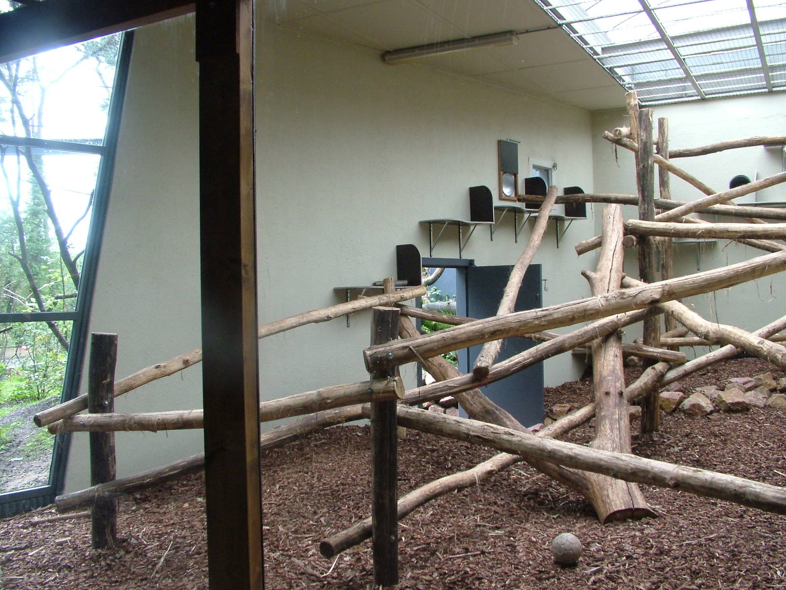 Ring-tailed Lemur Exhibit at Burgers Zoo Arnhem, 29/08/10