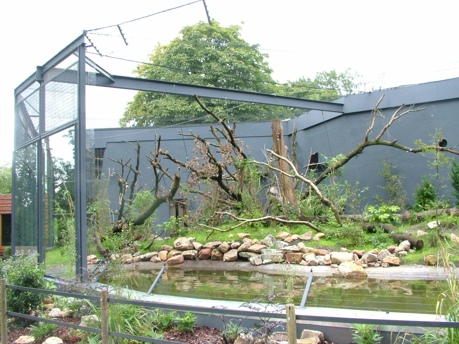 Ring-tailed Lemur Exhibit at Burgers Zoo Arnhem, 29/08/10