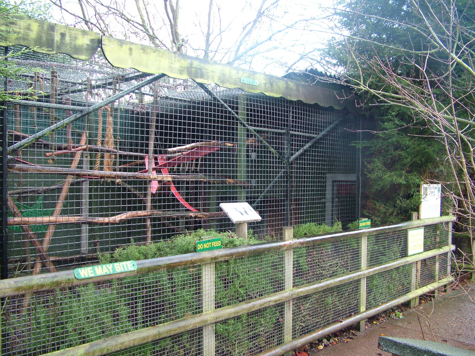 Ring-tailed Lemur exhibit at Tropical Wings 29/11/09