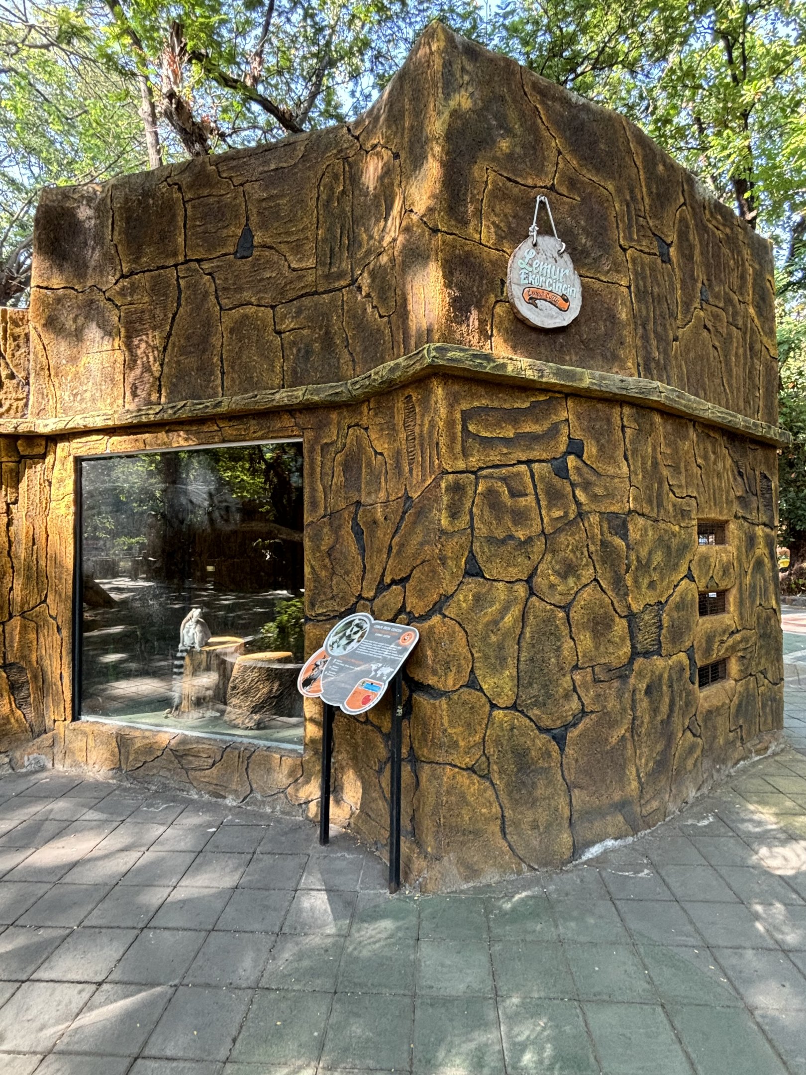 Ring-tailed Lemur Exhibit - bizarre!