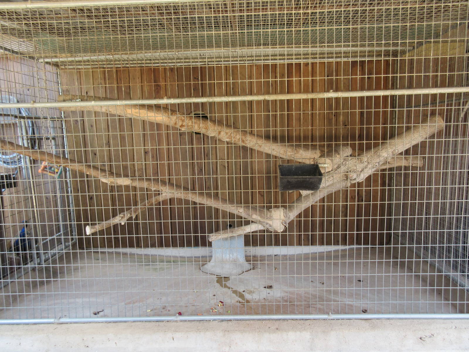 Ring-Tailed Lemur Exhibit - duplicate photo