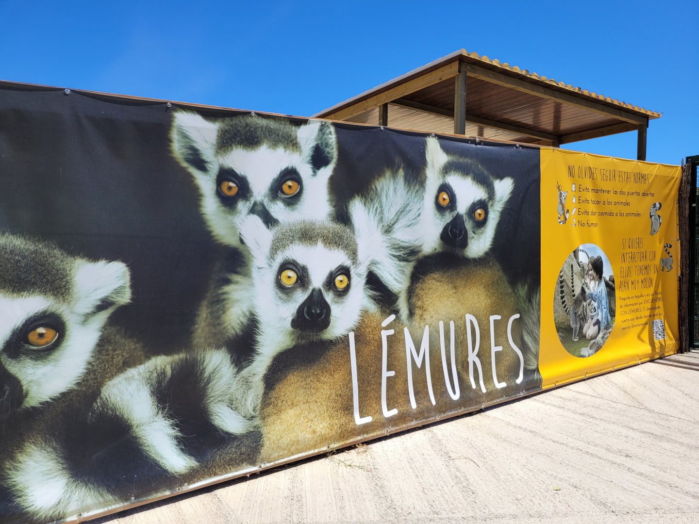 Ring-tailed lemur exhibit entrance -Sendaviva (2024)